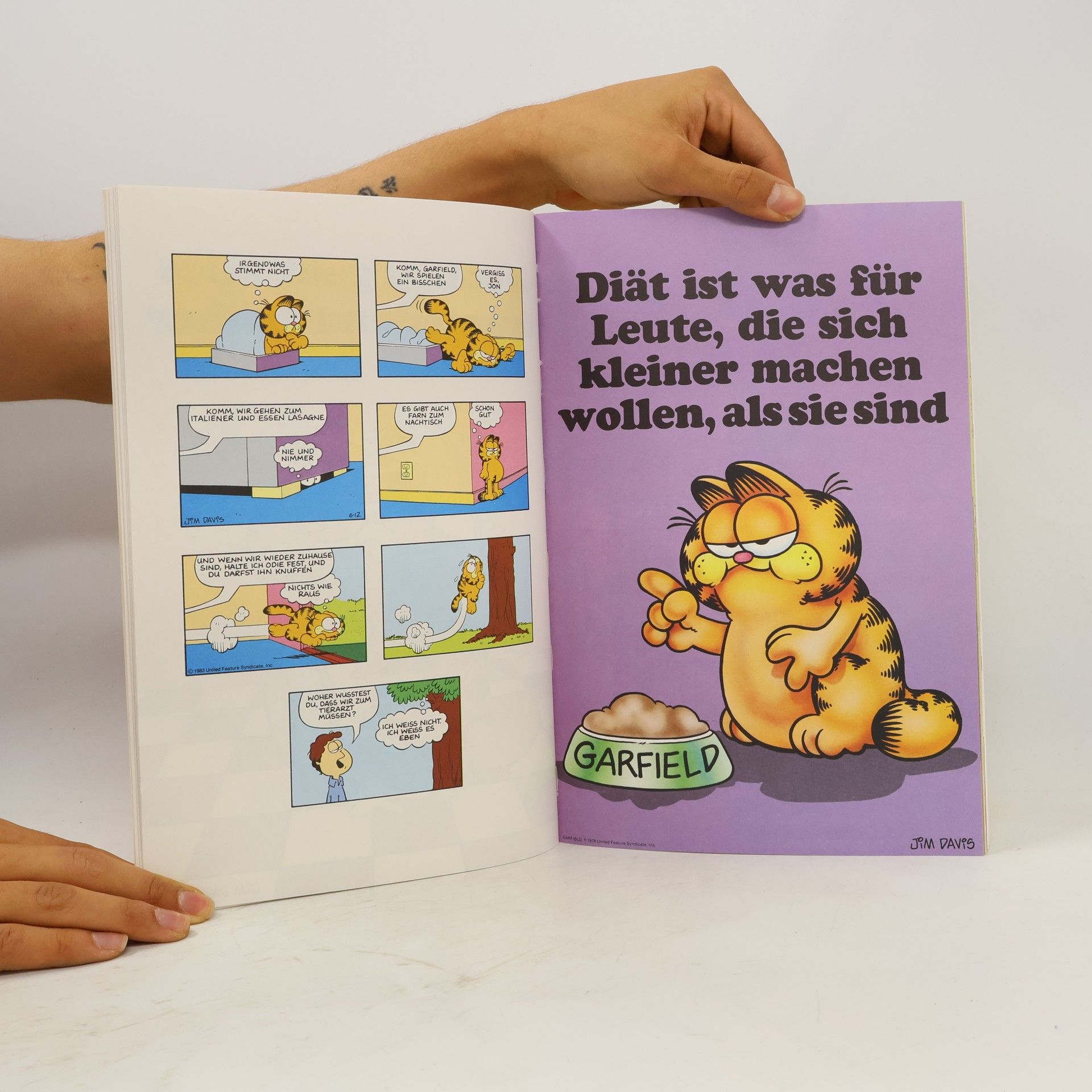 Jim Davis Die Garfield-Galerie 2