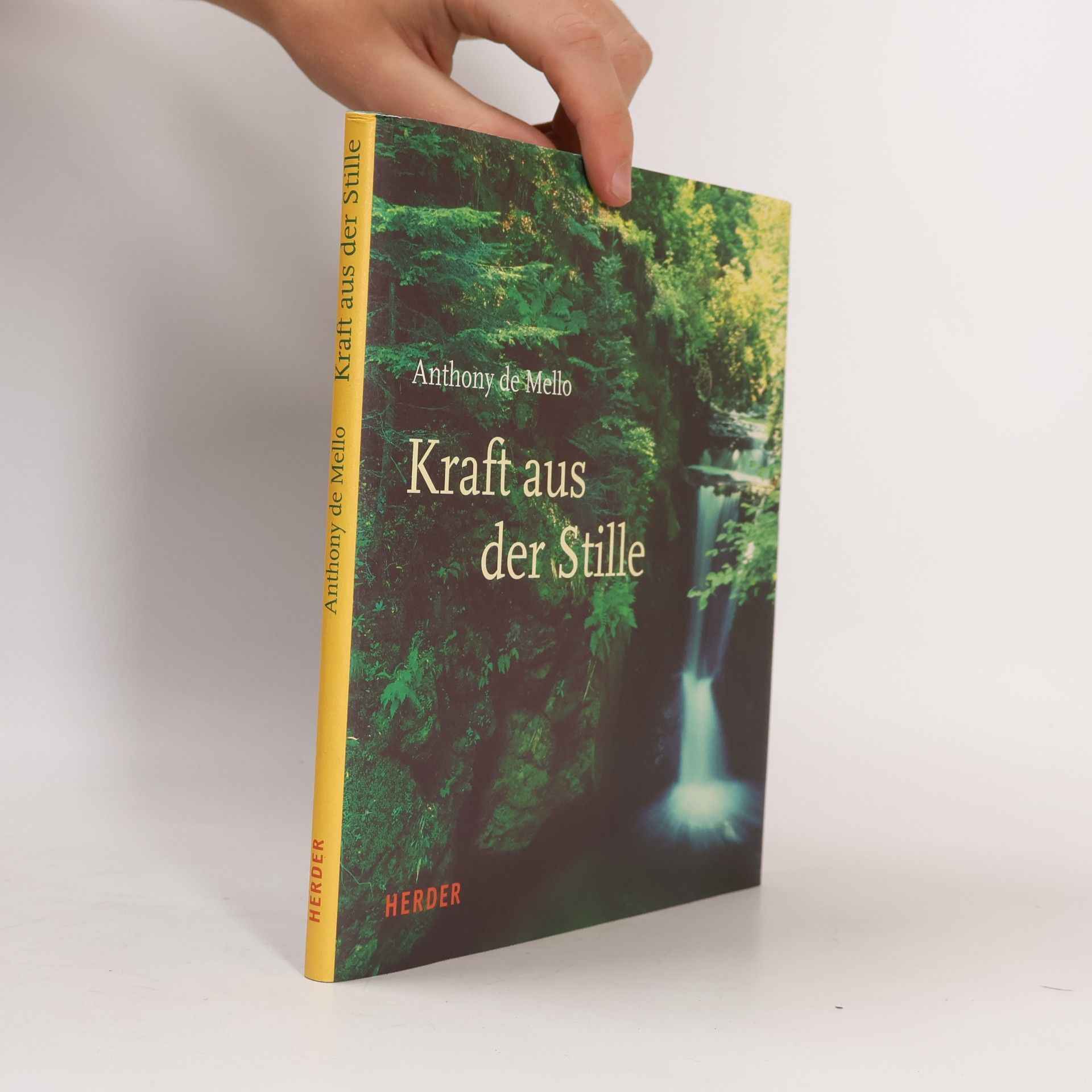 Anthony de Mello Kraft aus der Stille