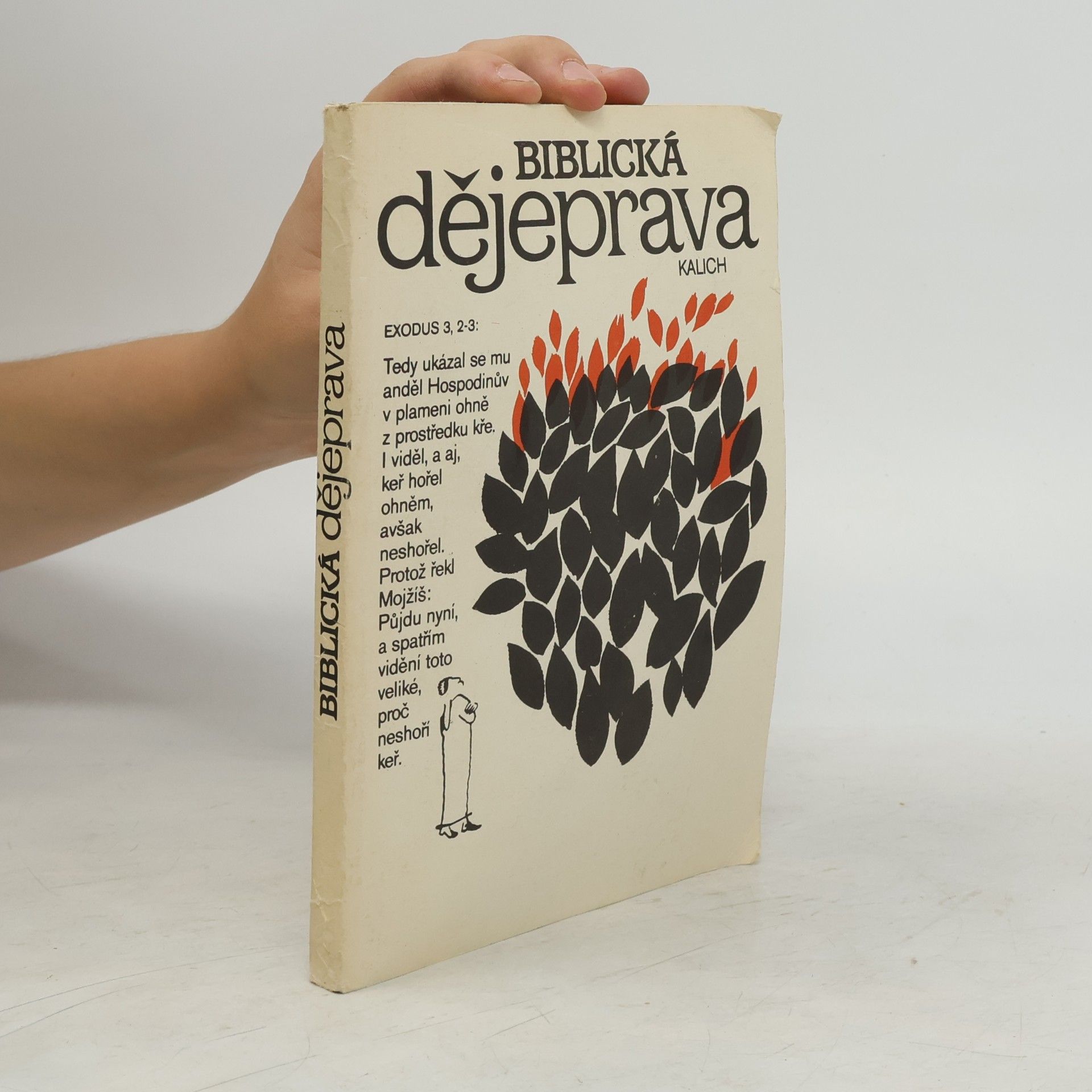 Miloslav Hájek Biblická dějeprava
