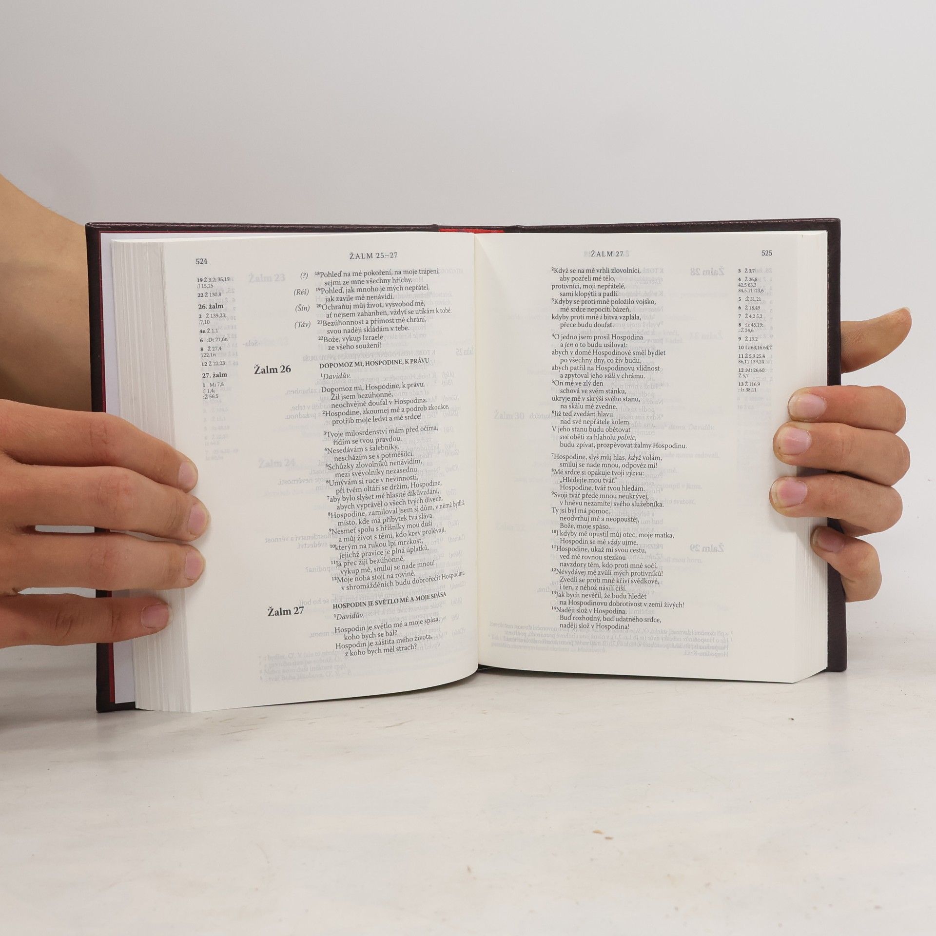 Česká biblická společnost Bible