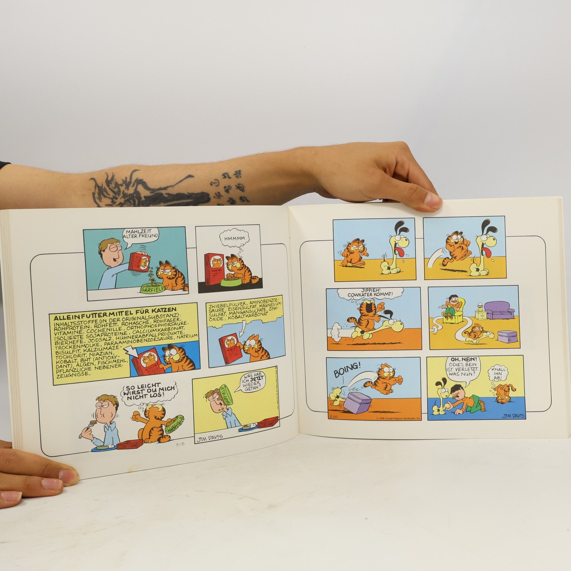 Jim Davis Garfield spielt auf