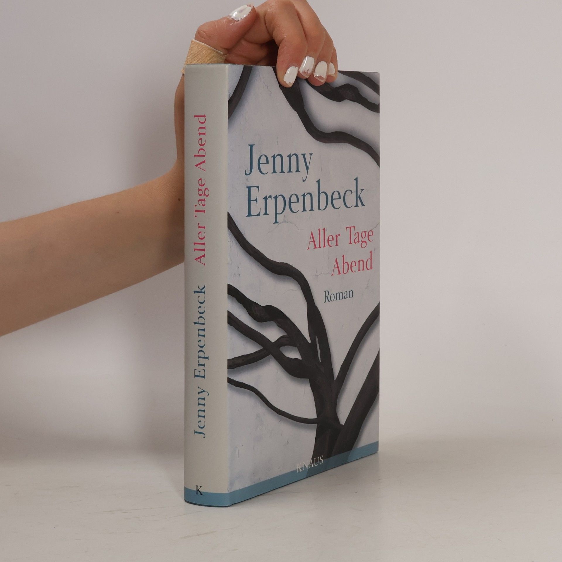 Jenny Erpenbeck Aller Tage Abend