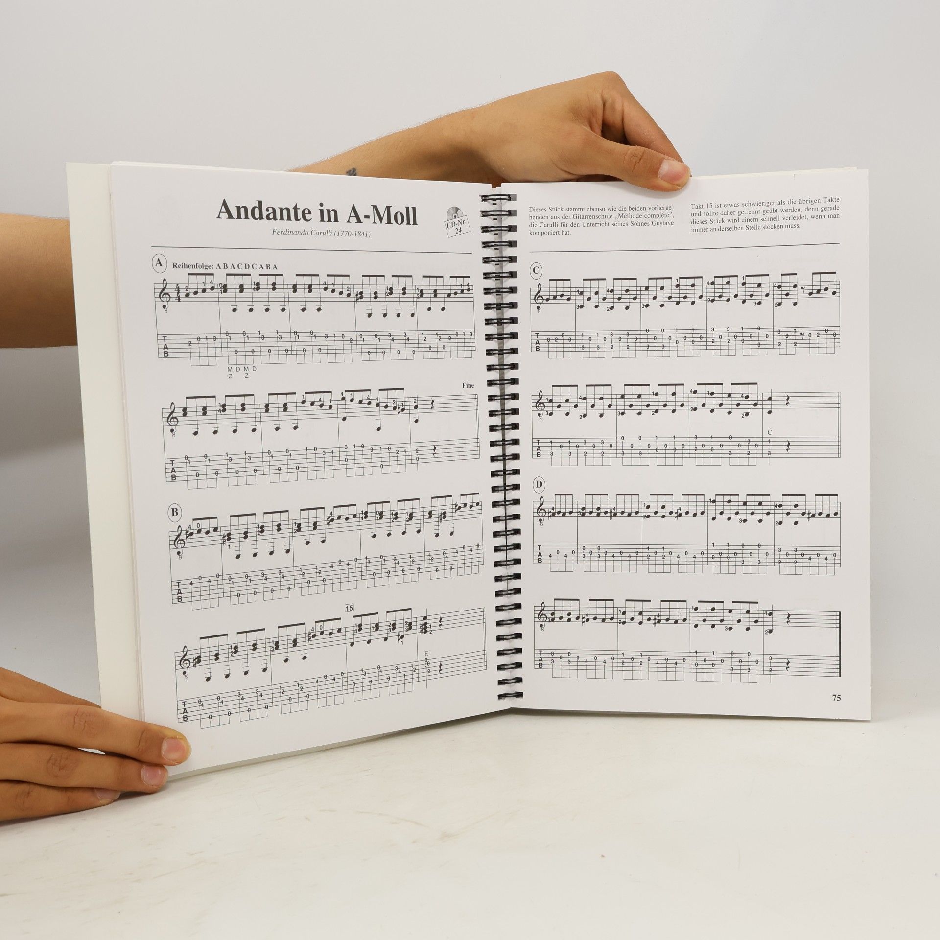 Stephen Schmidt Das klassische Gitarrenbuch