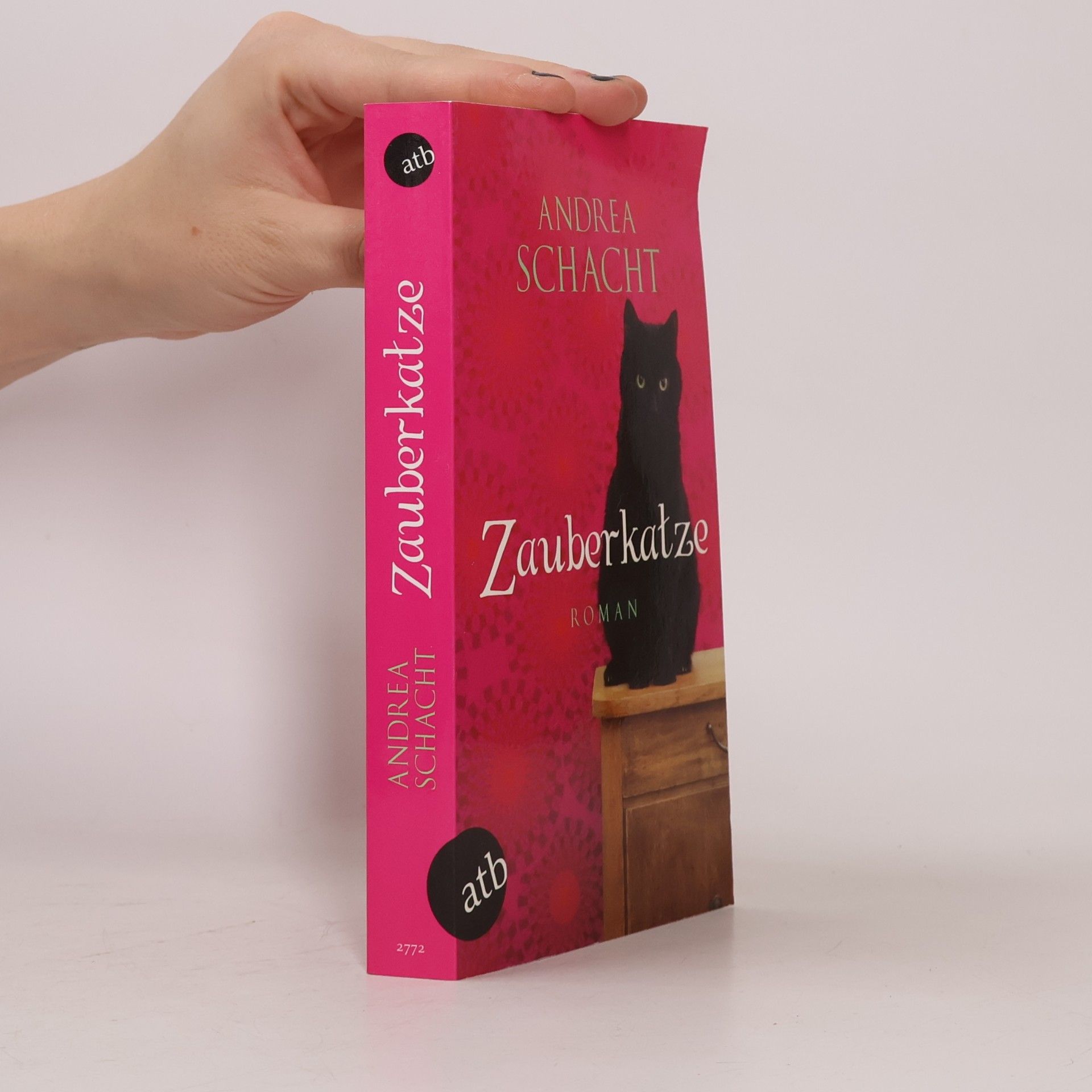 Andrea Schacht Zauberkatze