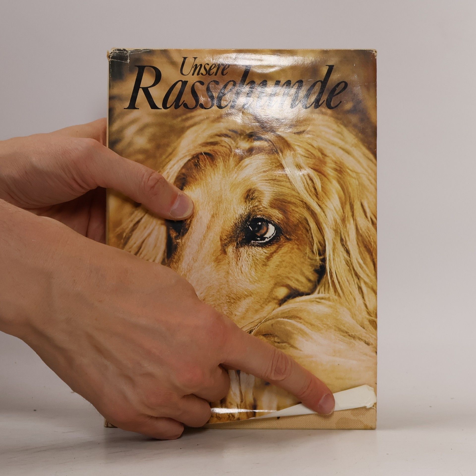 Kolektiv autorů Unsere Rassehunde