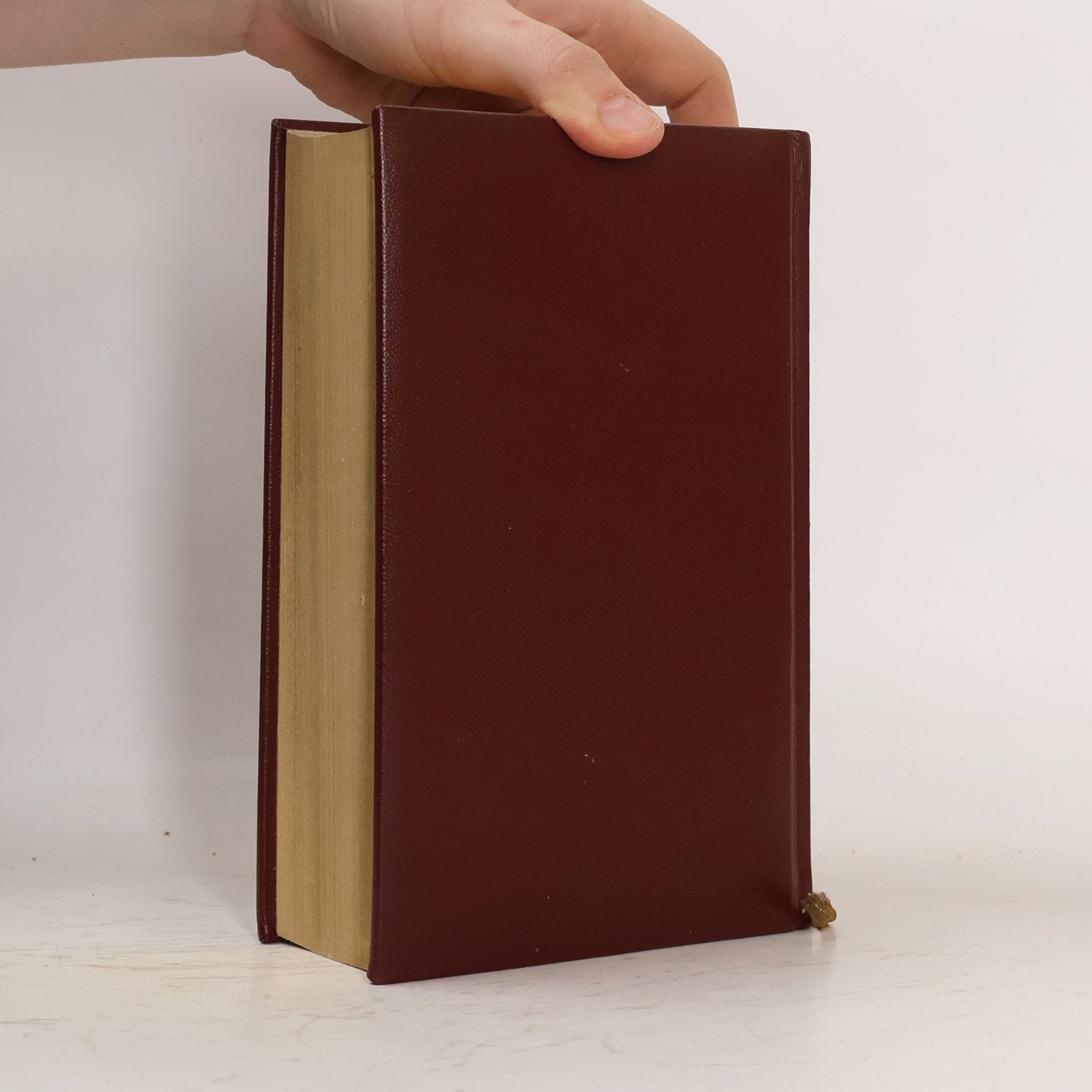 Autorenkollektiv Die Bibel
