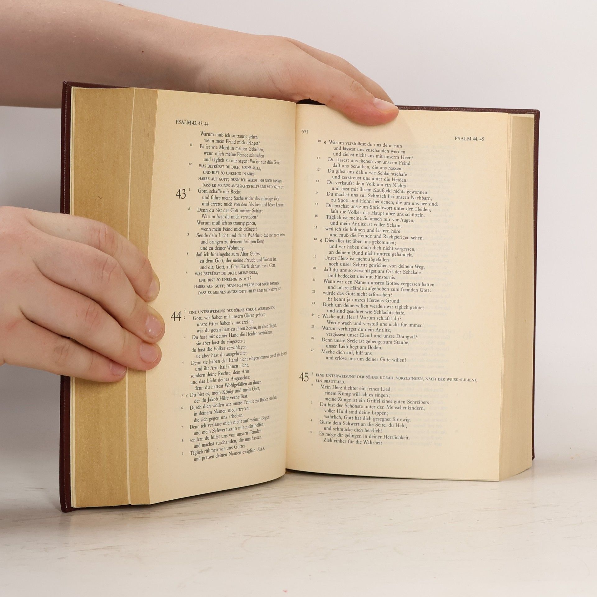 Autorenkollektiv Die Bibel