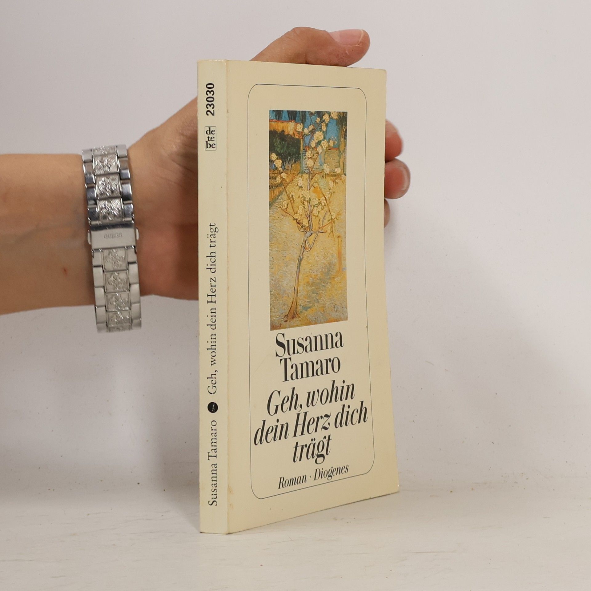 Susanna Tamaro Geh, wohin dein Herz dich trägt