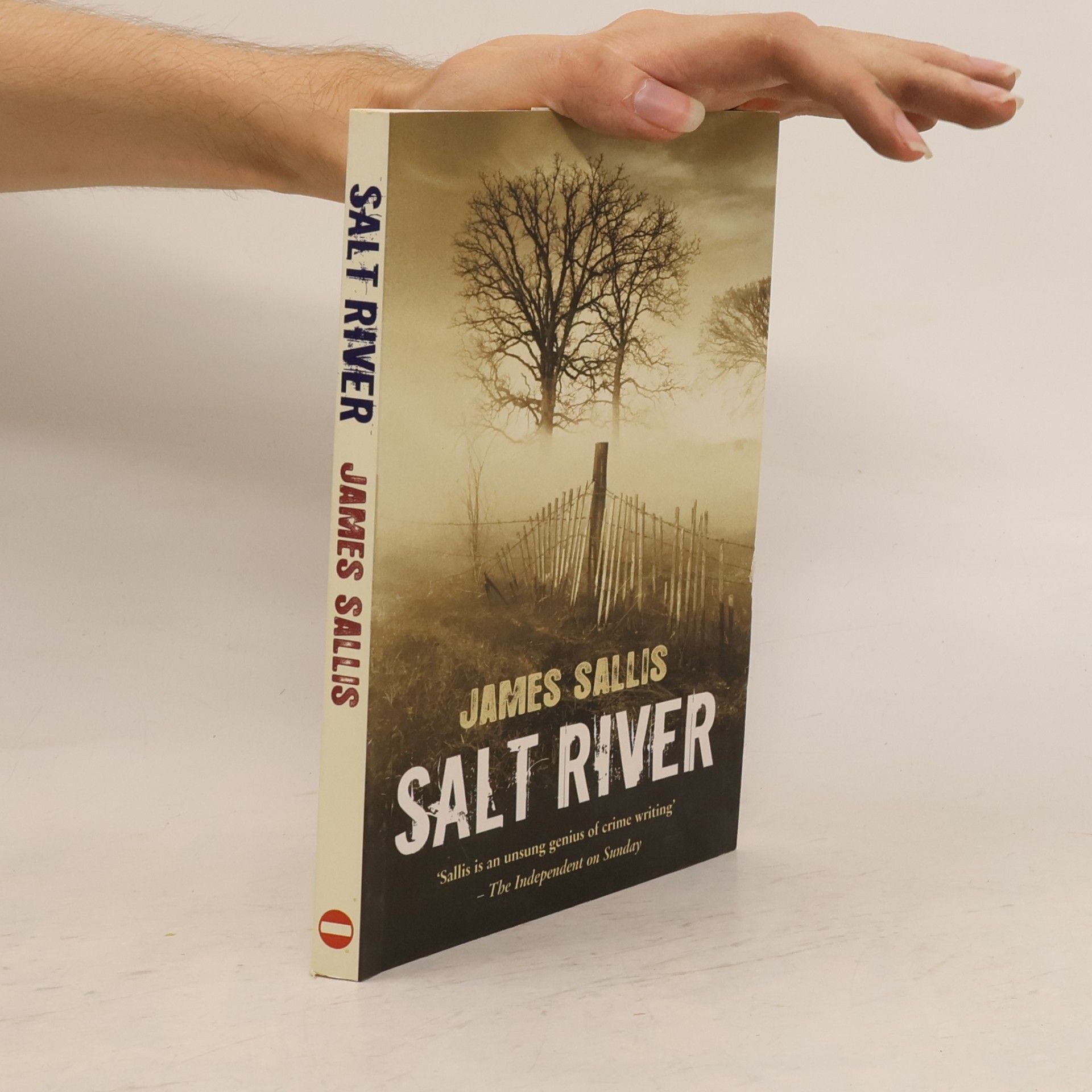 James Sallis Salt River