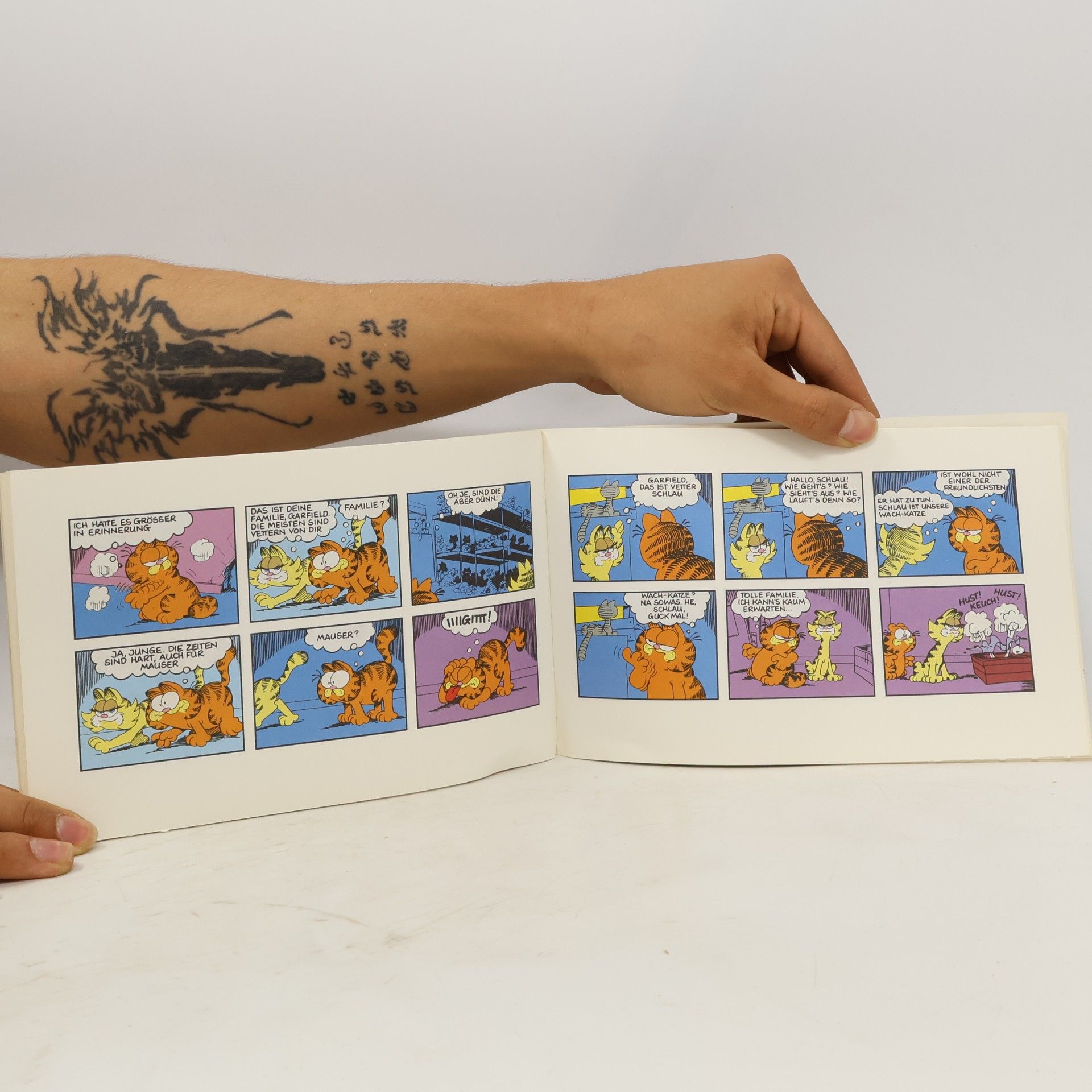 Jim Davis Garfield geistert durch die Stadt