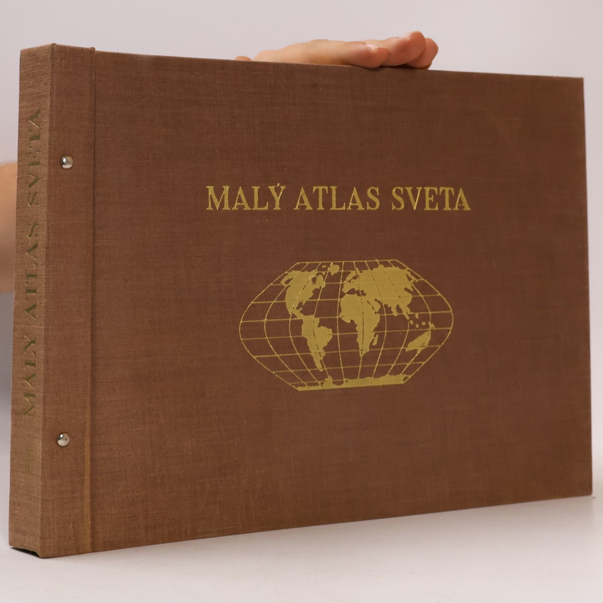 Autorenkollektiv Malý atlas sveta