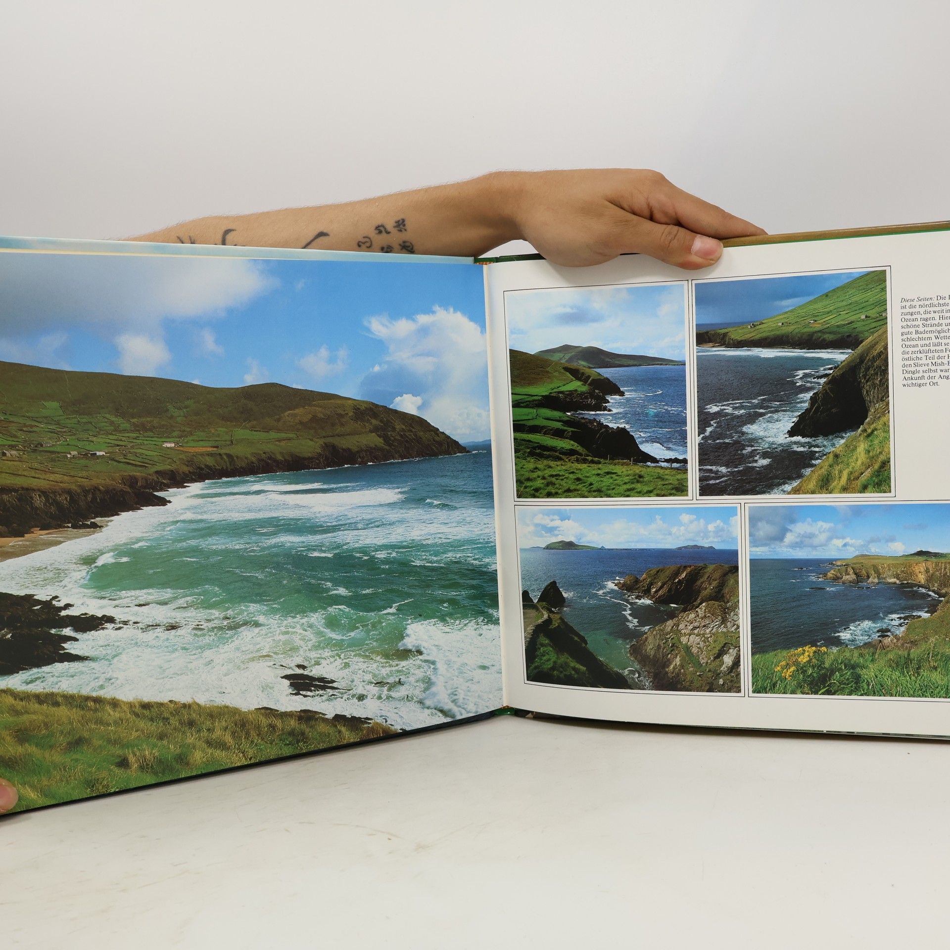 Netti van Dok Irland