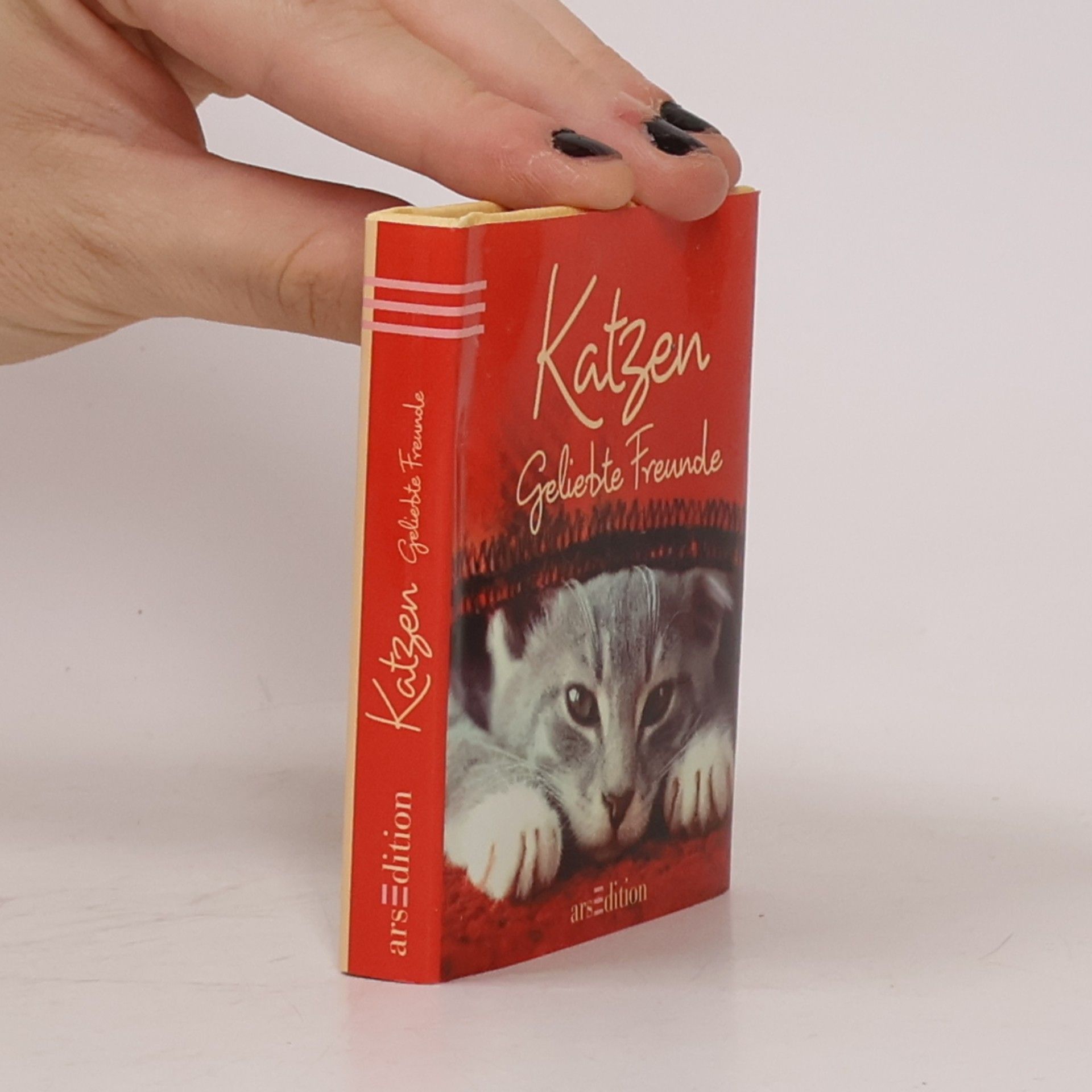 Max Galli Katzen