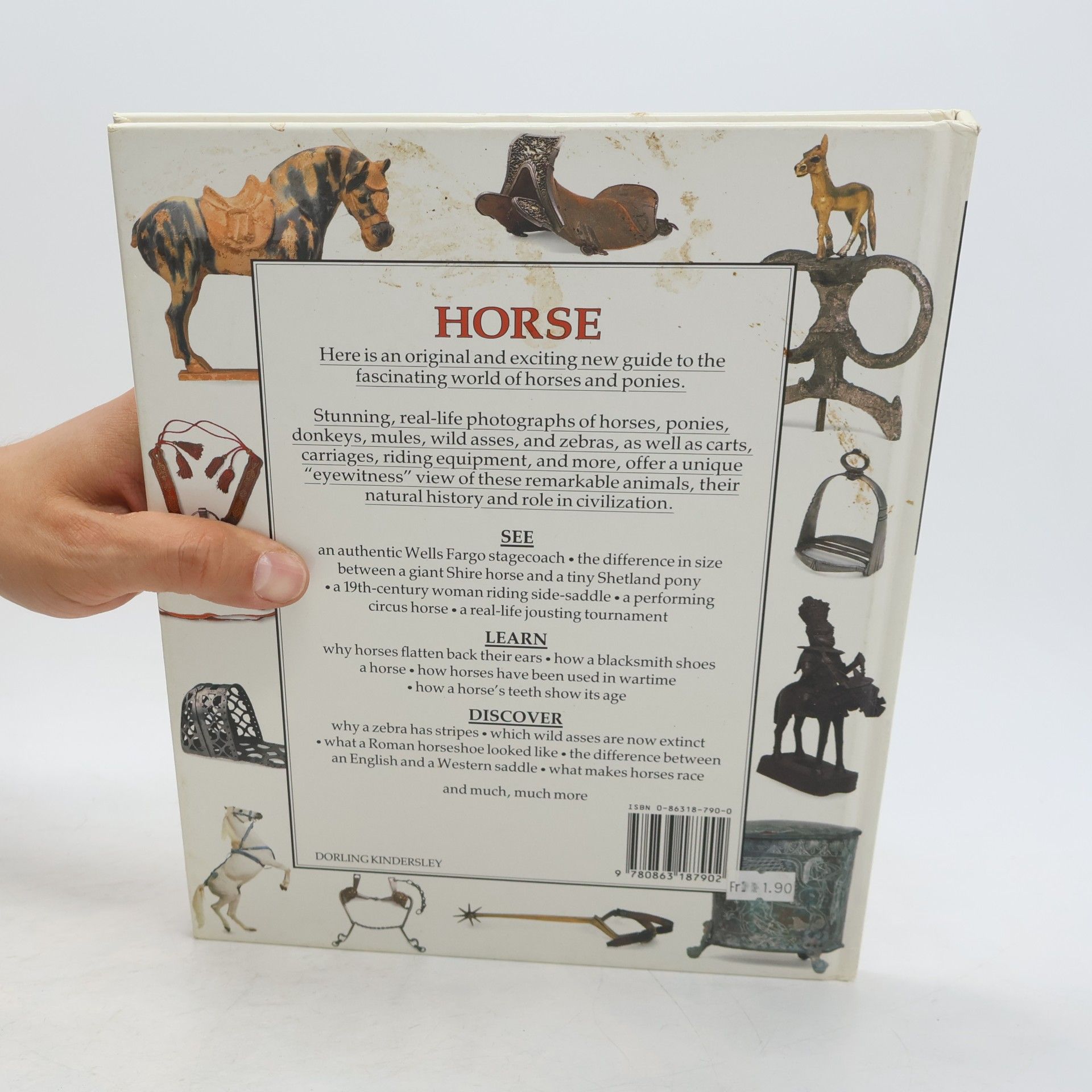 Juliet Clutton-Brock Horse