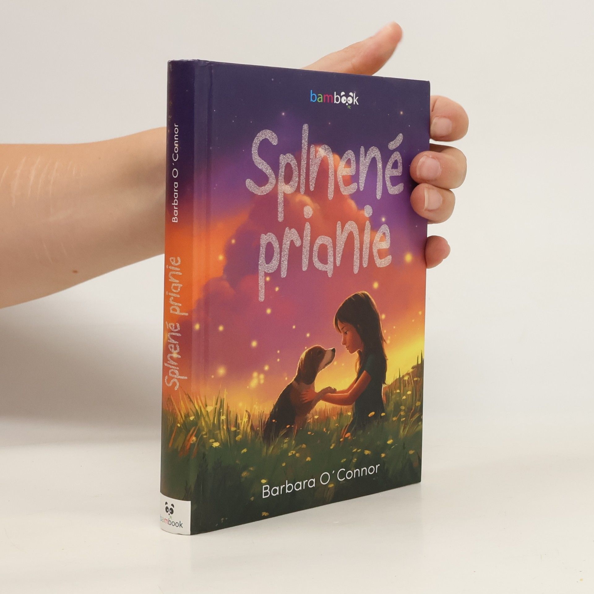 Barbara O. Connor Splnené prianie