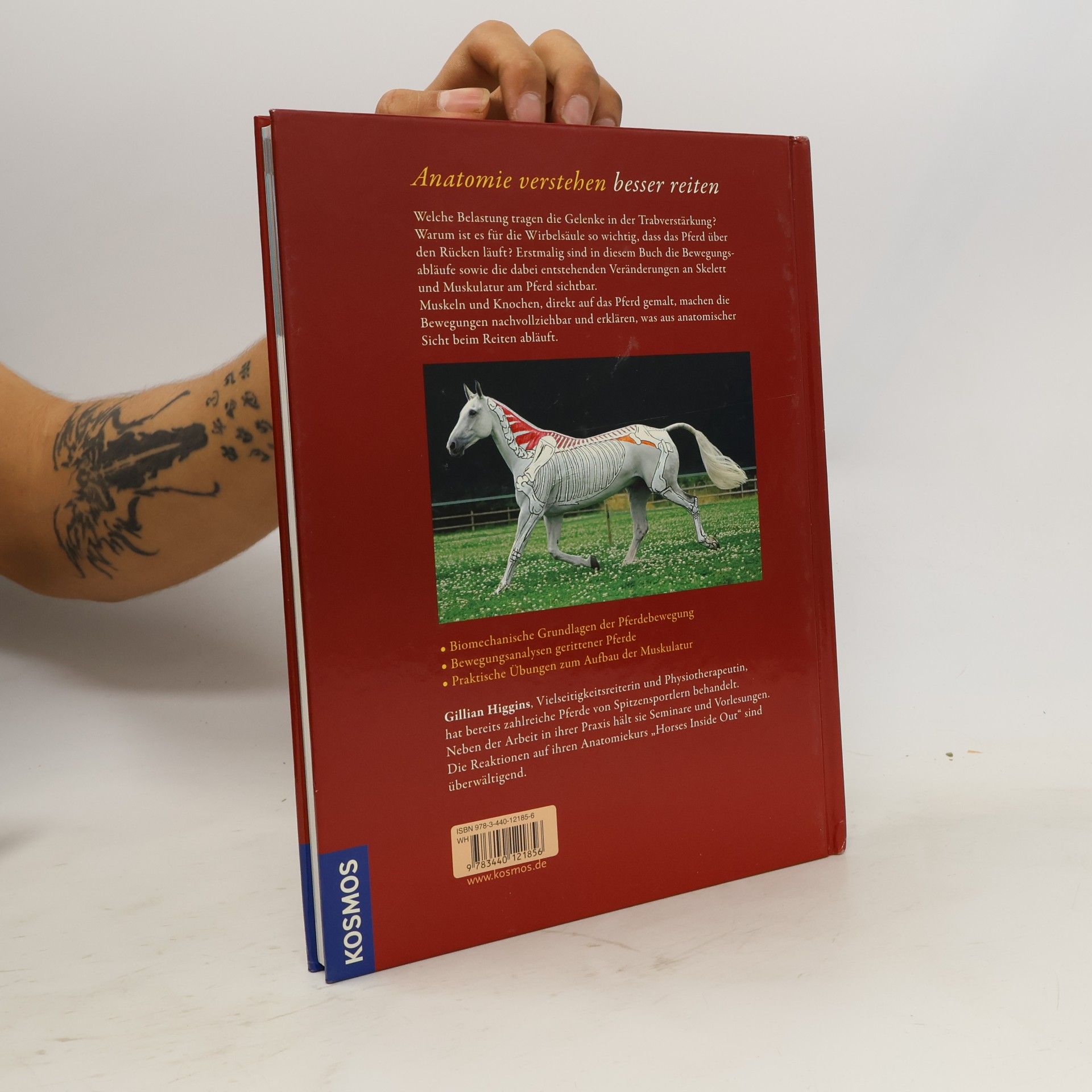 Gillian Higgins Anatomie verstehen - besser reiten