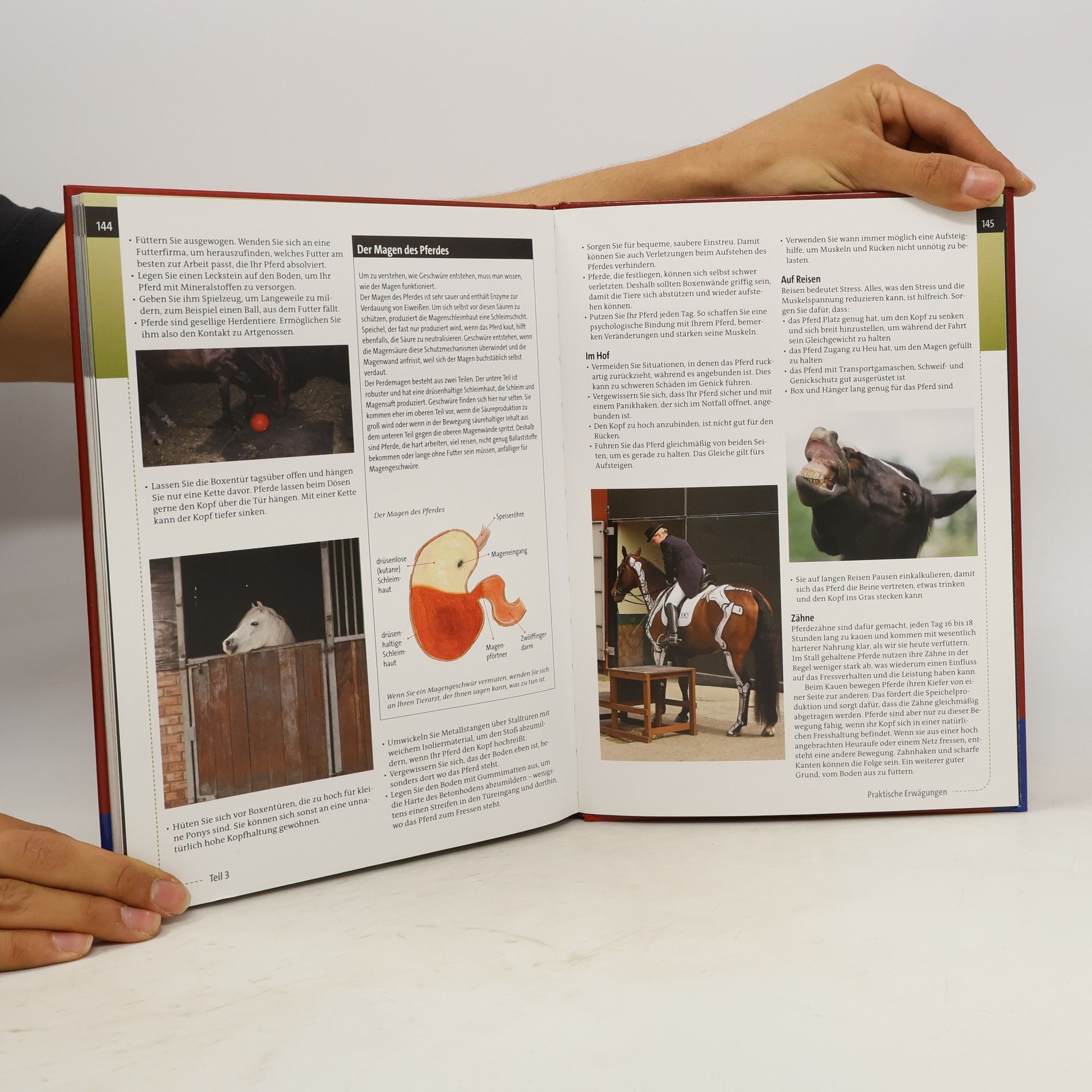 Gillian Higgins Anatomie verstehen - besser reiten