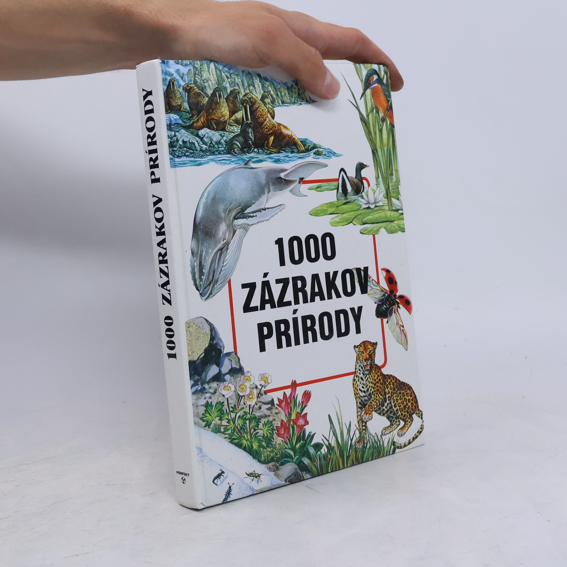 Kolektiv autorů 1000 zázrakov prírody