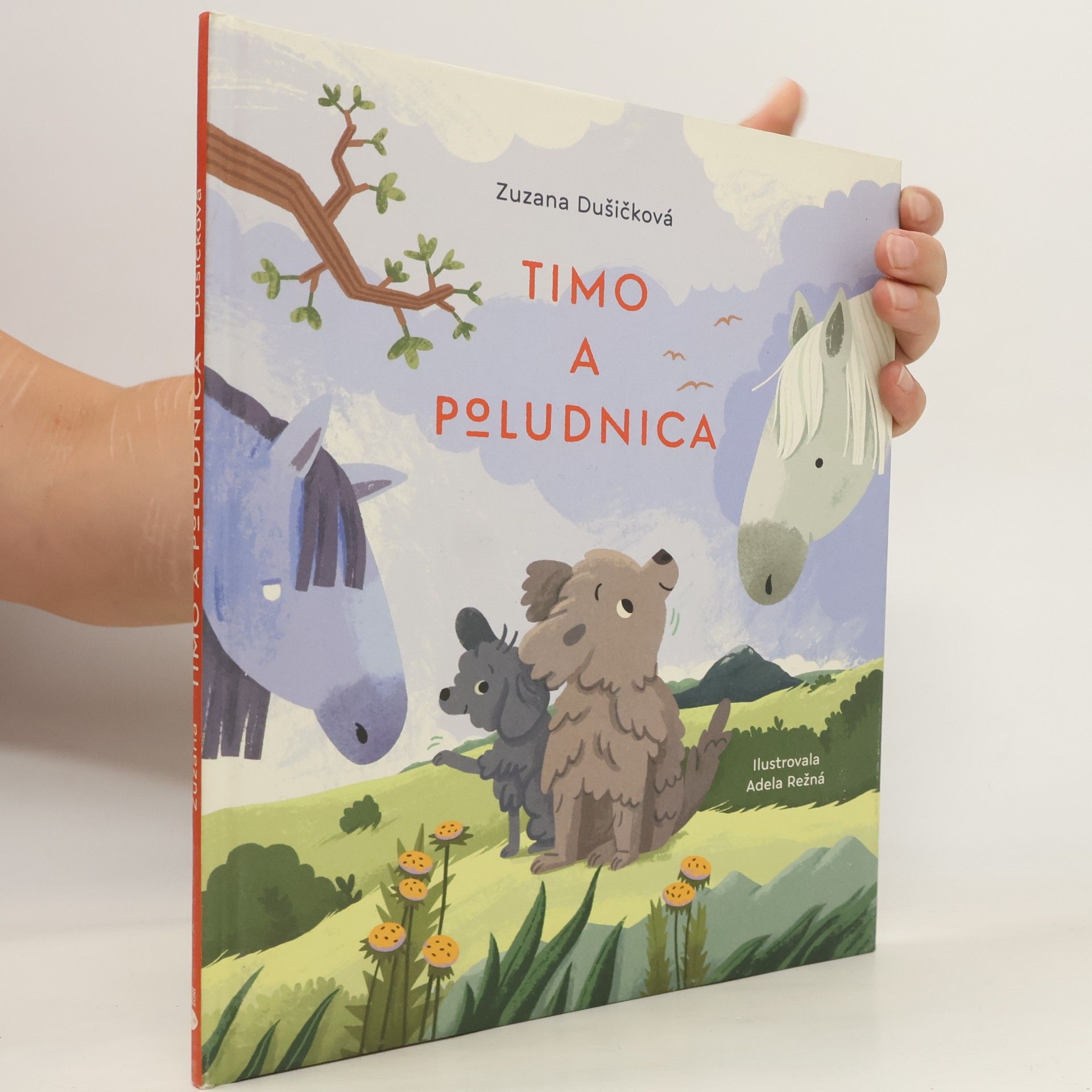 Zuzana Dušičková Timo a Poludnica