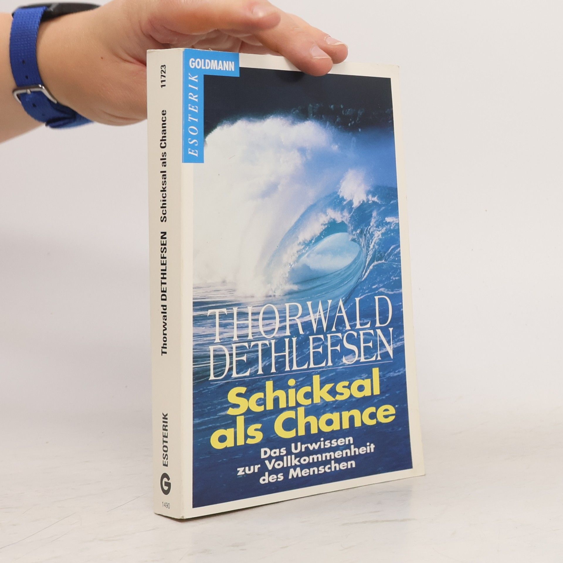 Thorwald Dethlefsen Schicksal als Chance