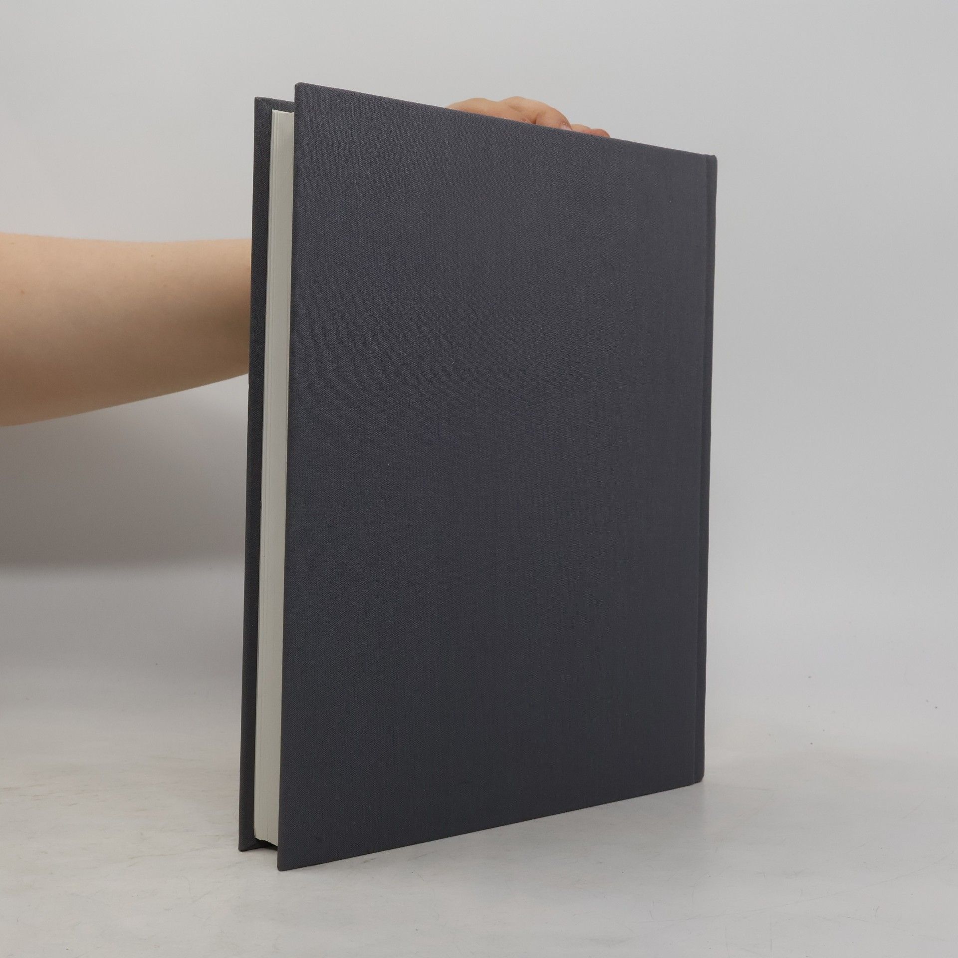 Naděžda Blažíčková-Horová České malířství 19. století
