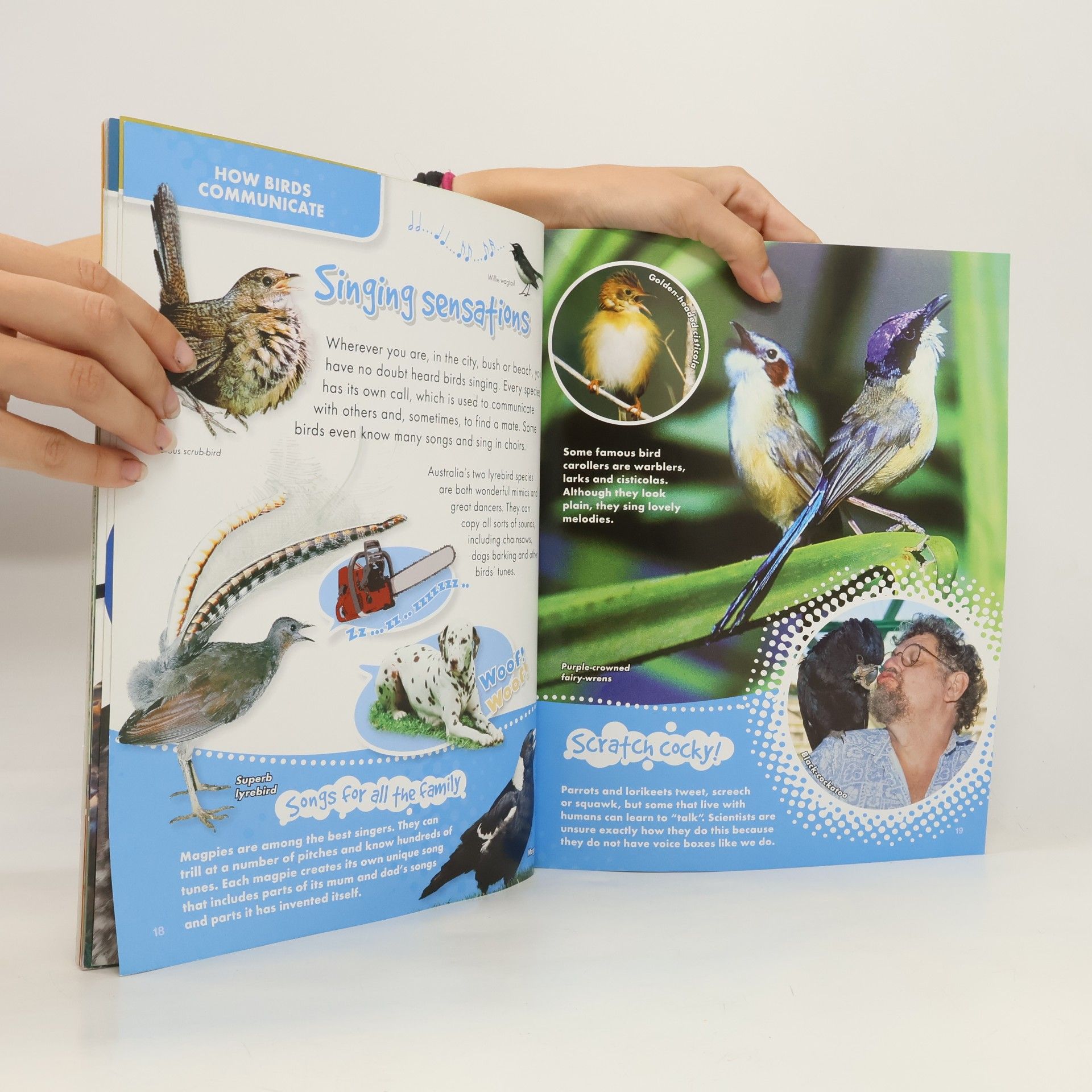 Karin Lukas-Cox Nature Watch