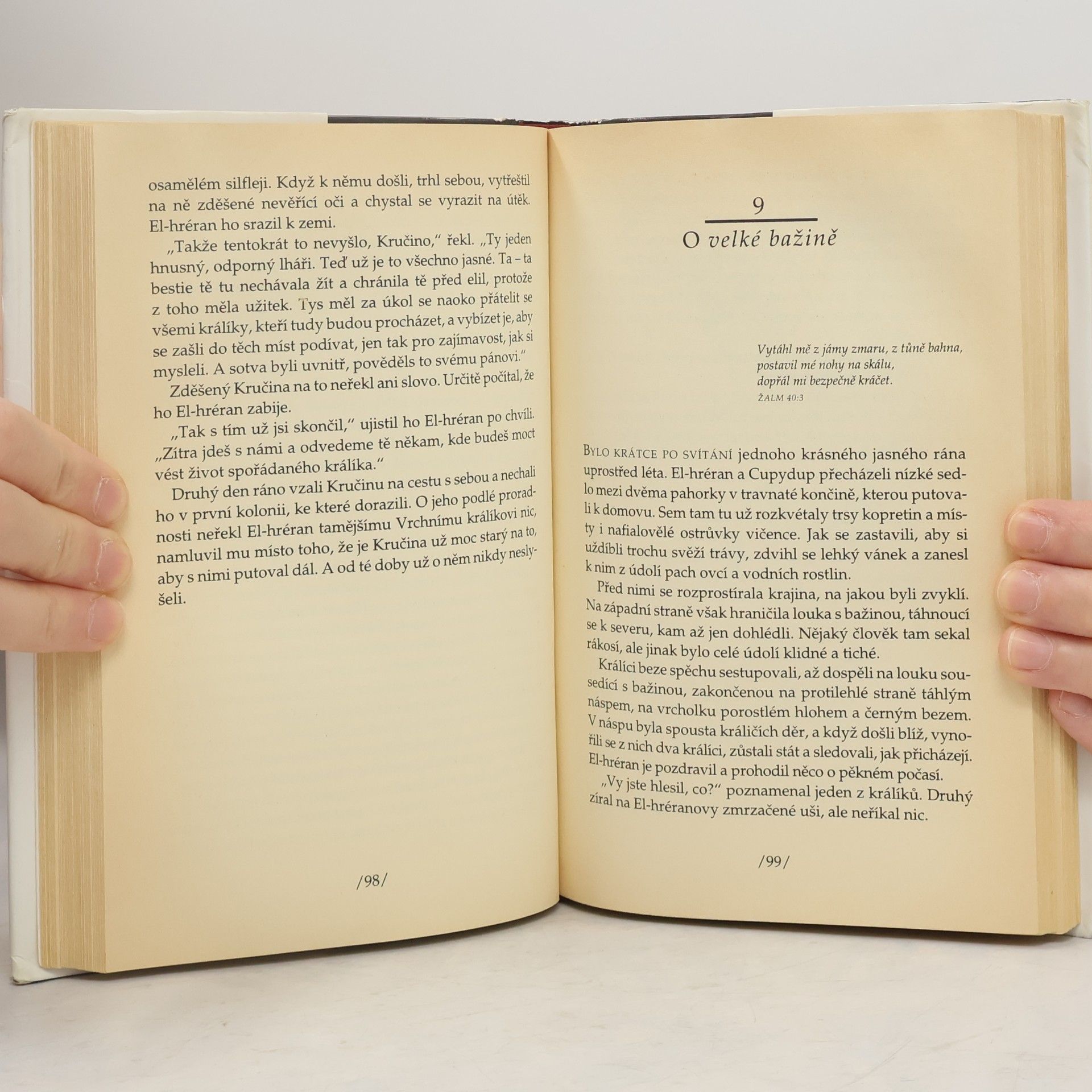 Richard Adams Příběhy z Kamenitého vrchu