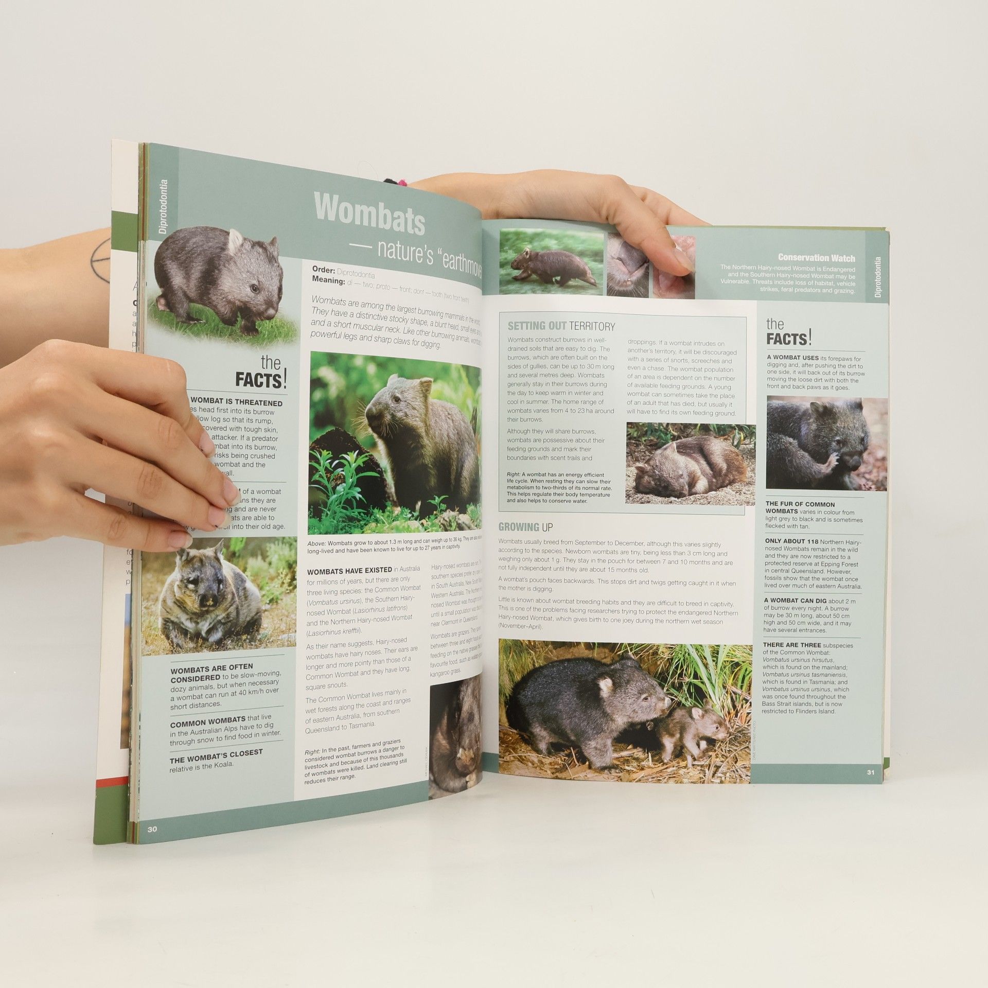 Gregory Czechura Amazing Facts About Australian Mammals