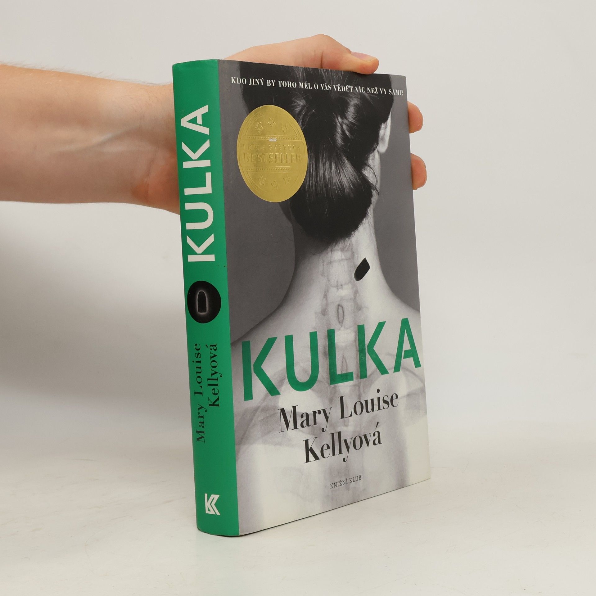 Mary Louise Kelly Kulka