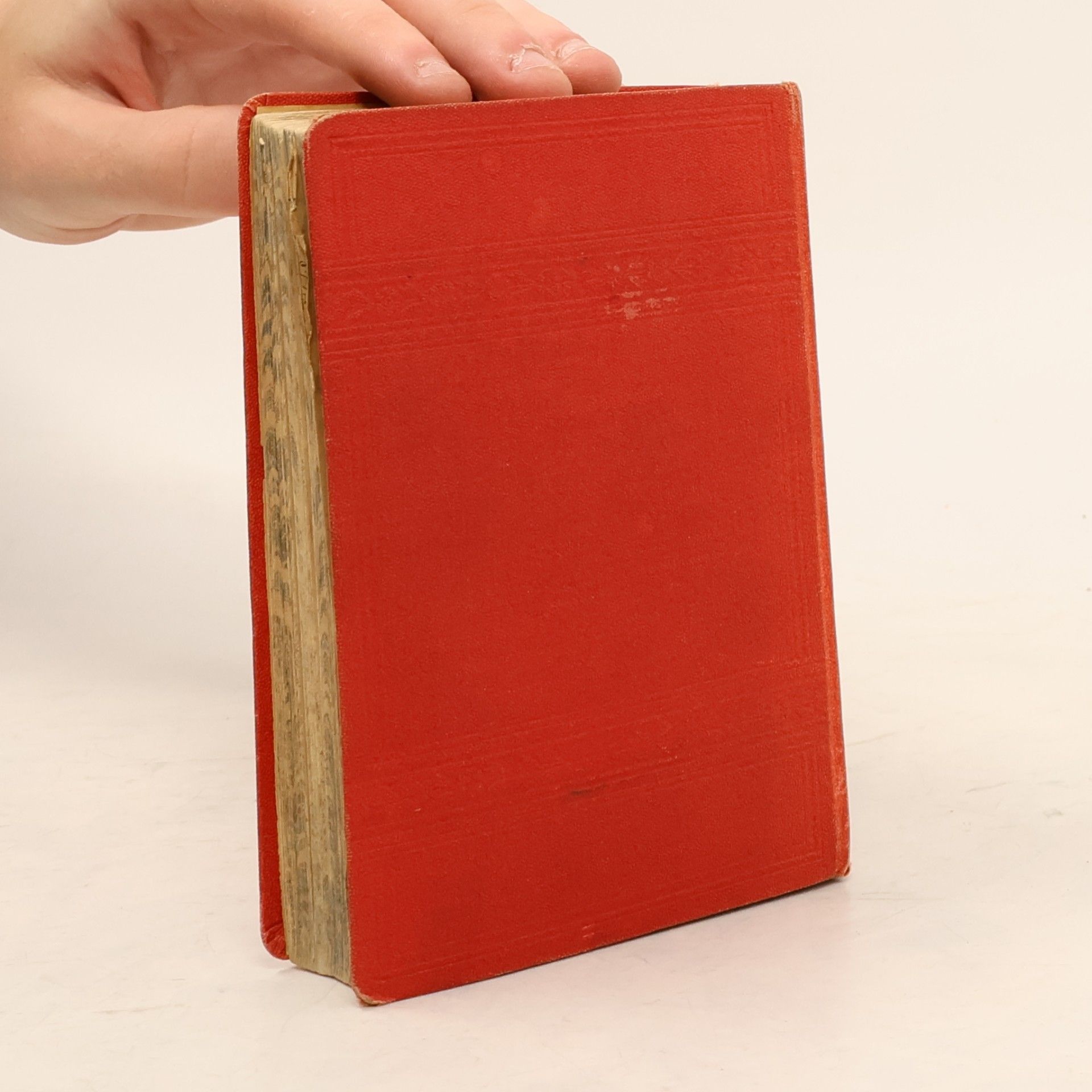 Various authors Woerl's Reisehandbücher . Die Schweiz