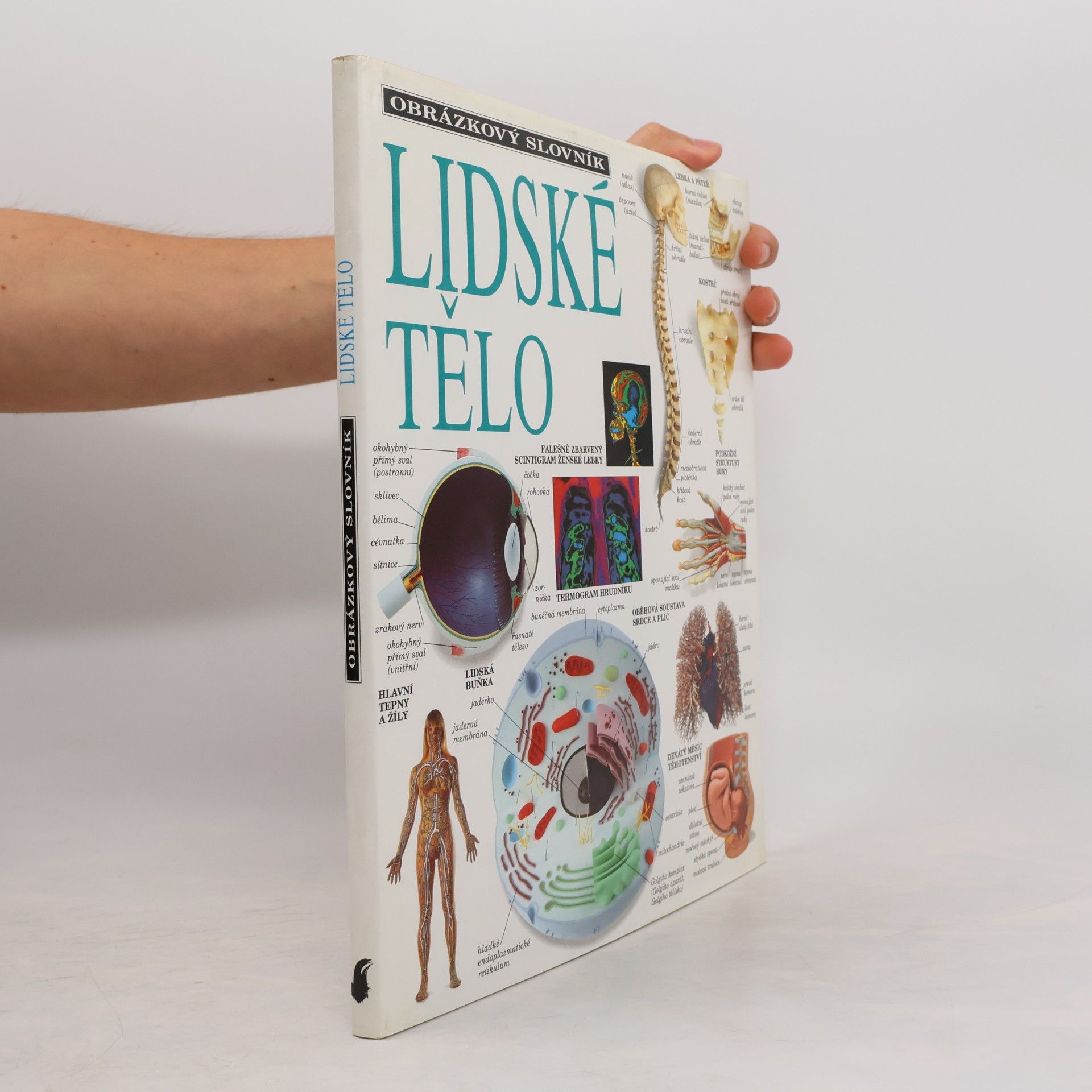 Lidské tělo: Obrázkový slovník