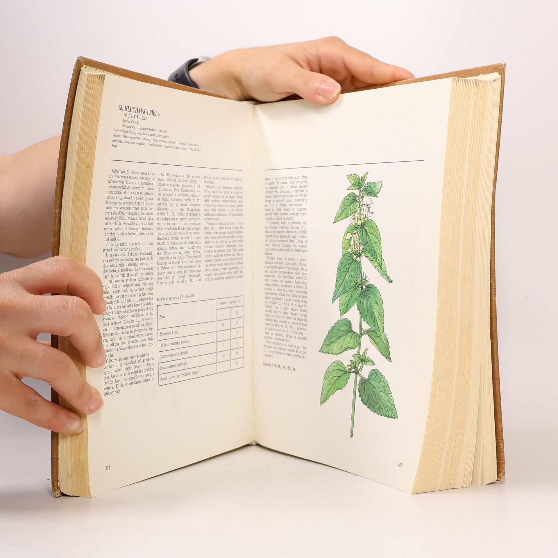 Jindřich Krejča Atlas liečivých rastlín a lesných plodov