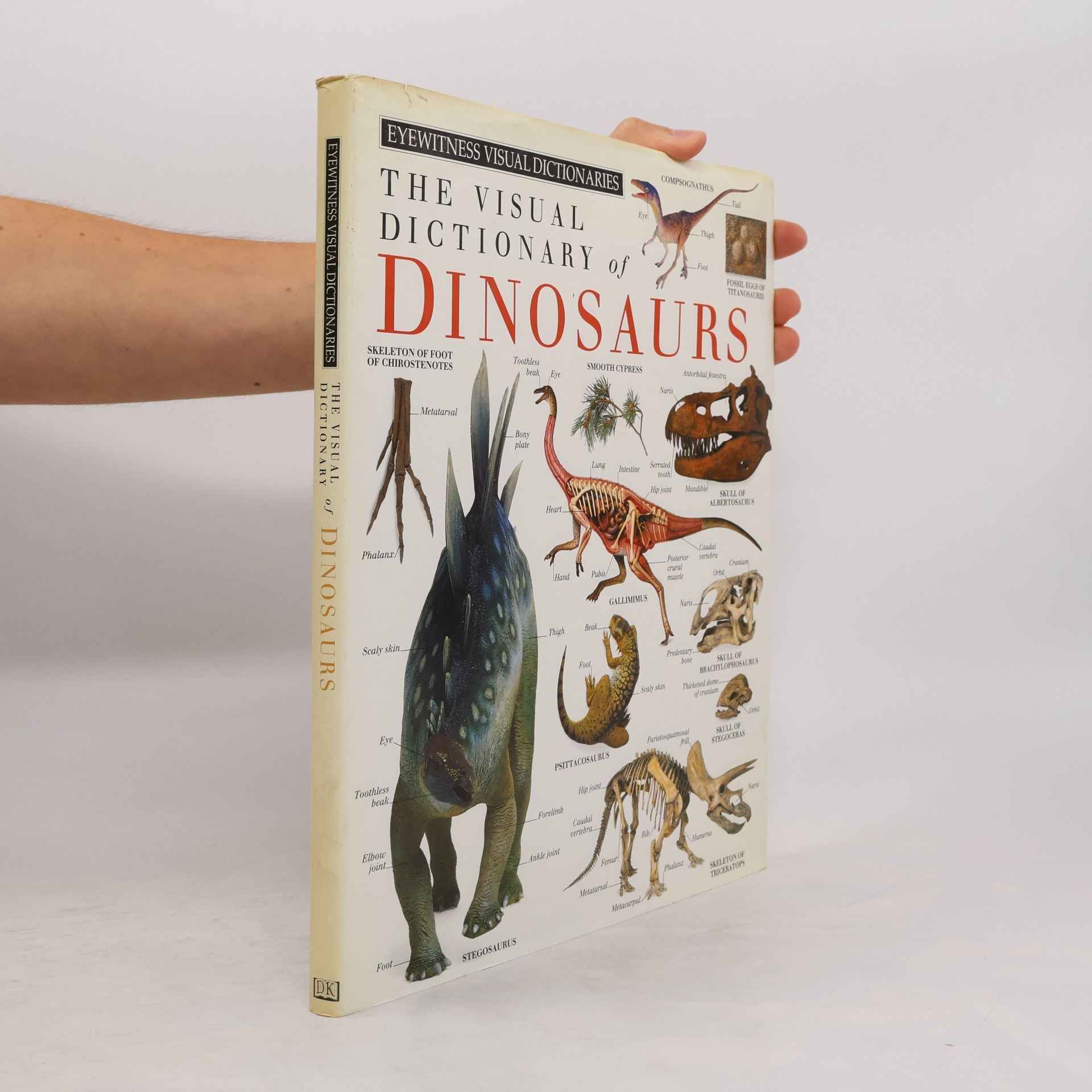 David Lambert Eyewitness Visual Dictionaries: The Visual Dictionary of Dinosaurs