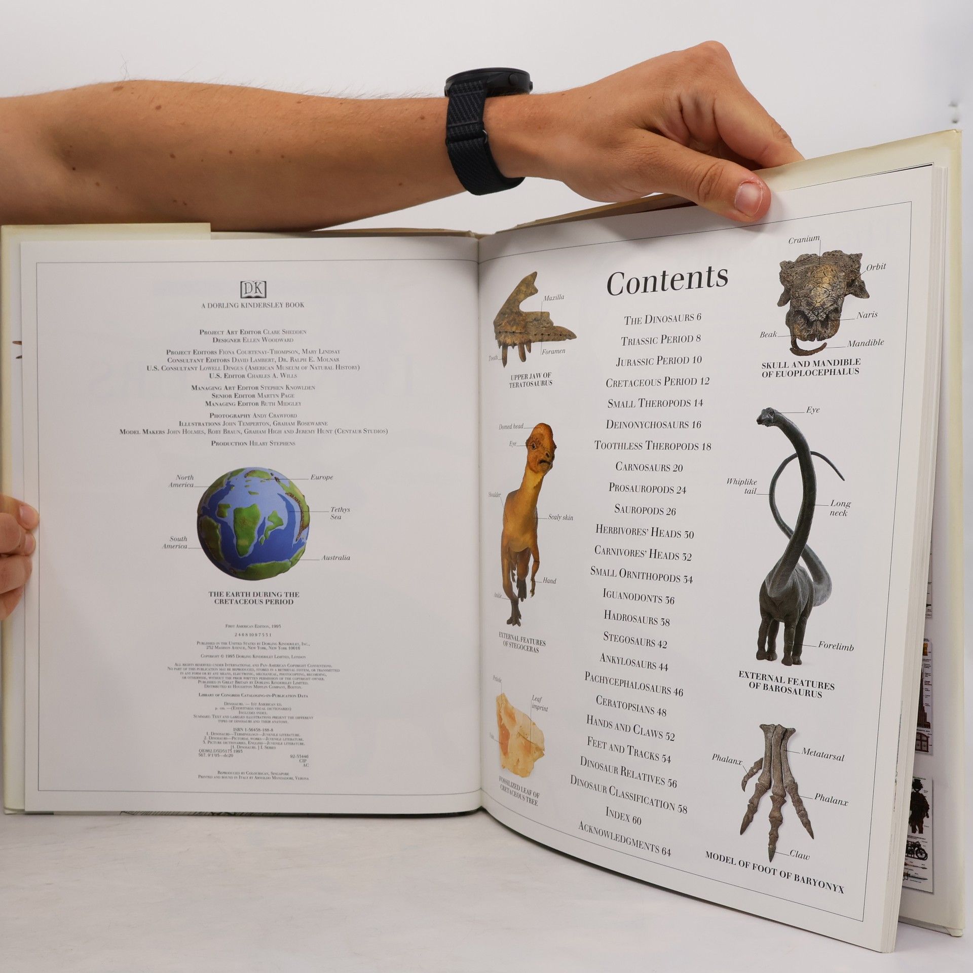David Lambert Eyewitness Visual Dictionaries: The Visual Dictionary of Dinosaurs