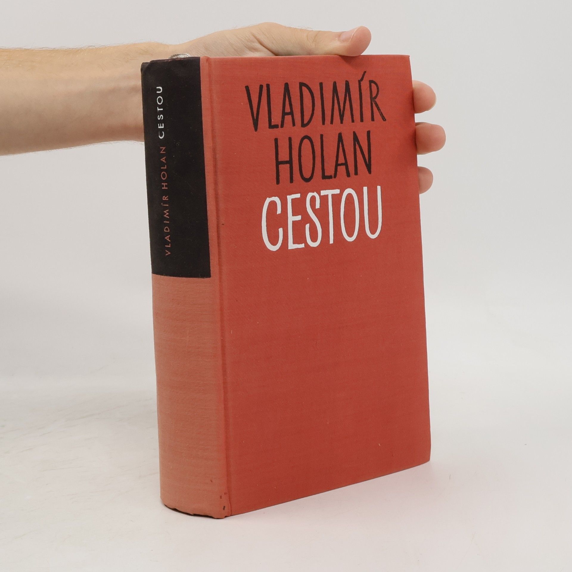 Vladimír Holan Cestou