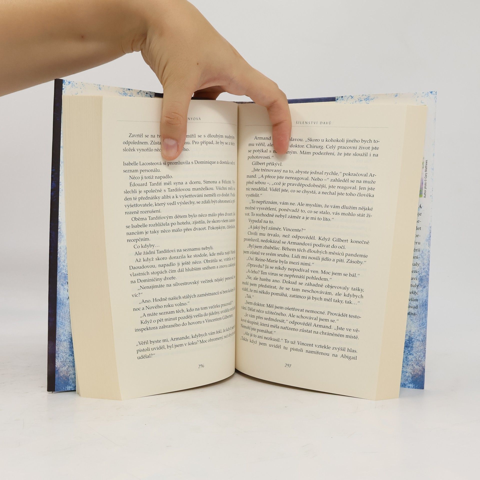 Louise Penny Šílenství davů