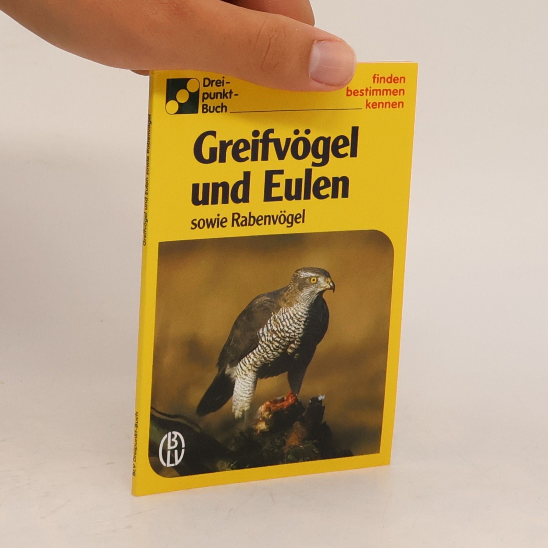 Ute E. Zimmer Greifvögel und Eulen sowie Rabenvögel