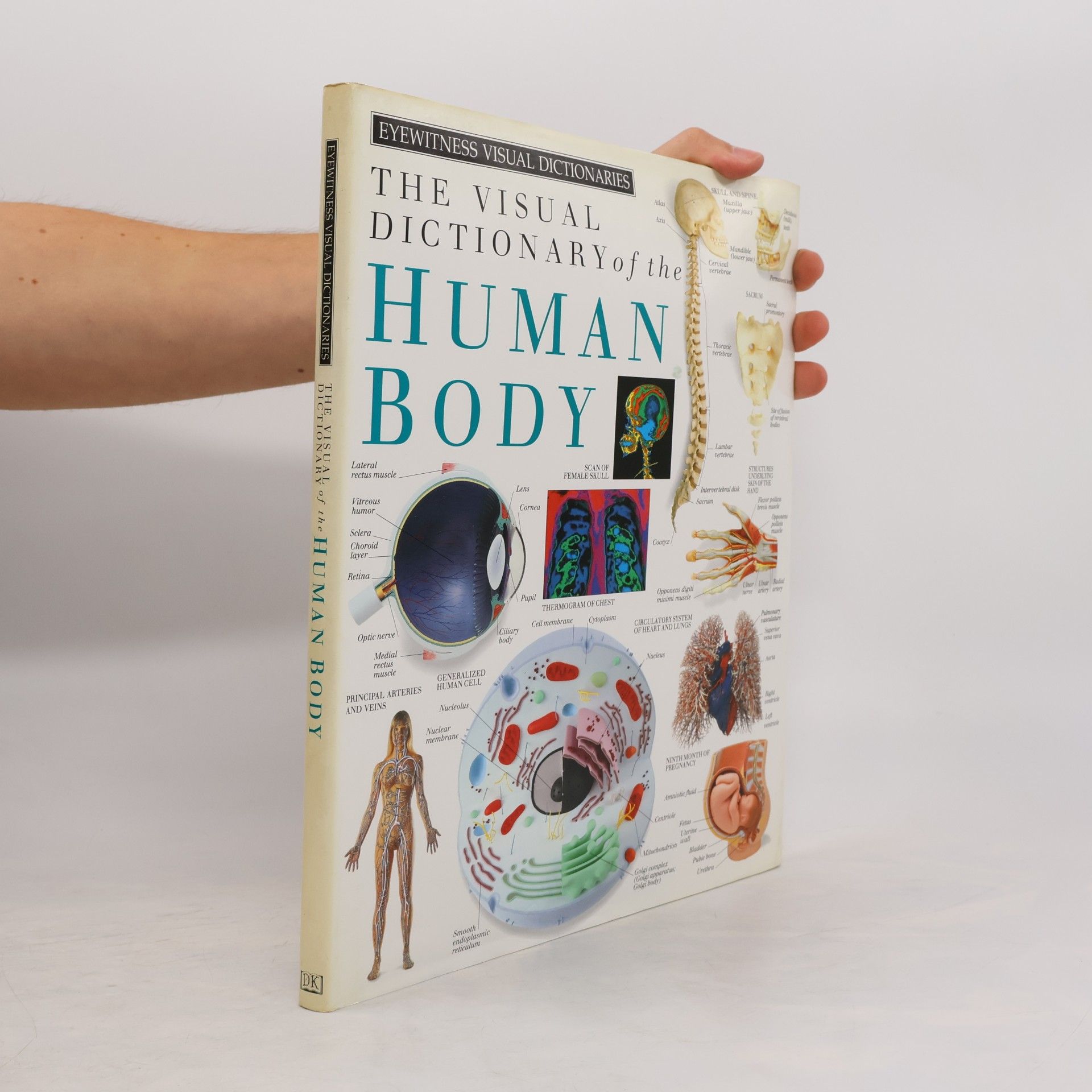 Collectif d'auteurs The visual dictionary of the human body Human body