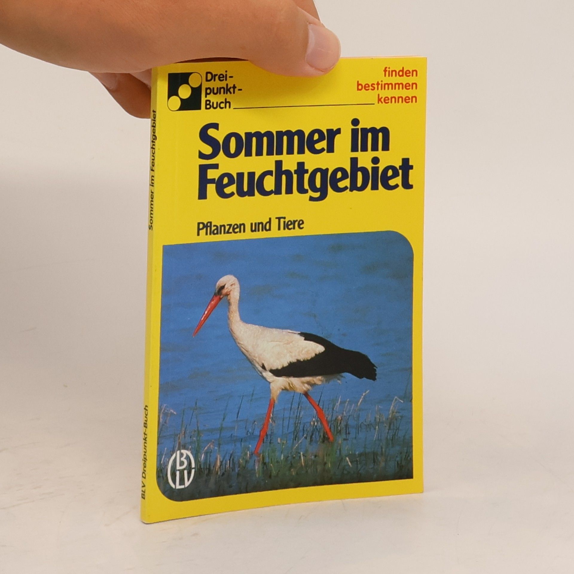Various authors Sommer im Feuchtgebiet