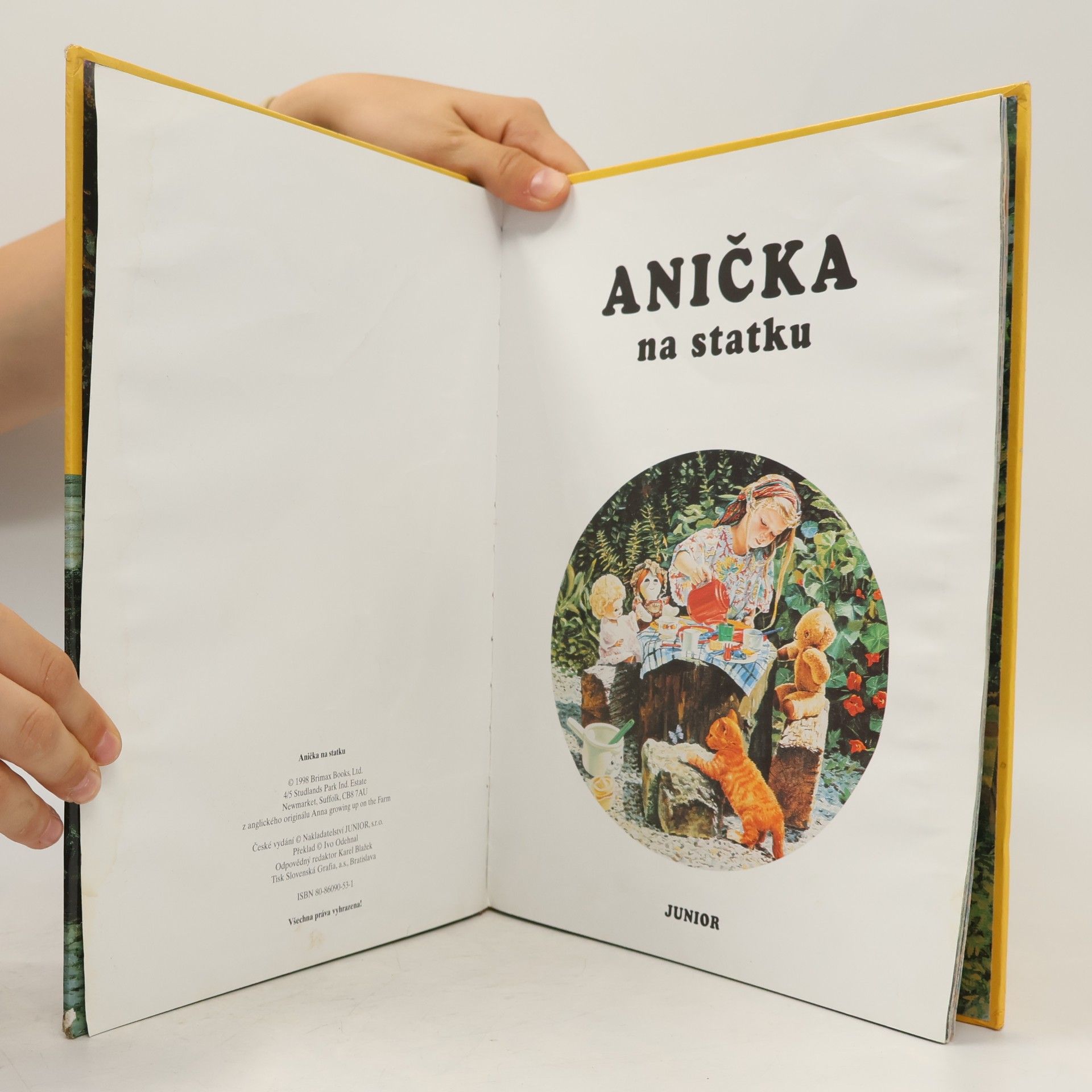 Kolektiv autorů Anička na statku