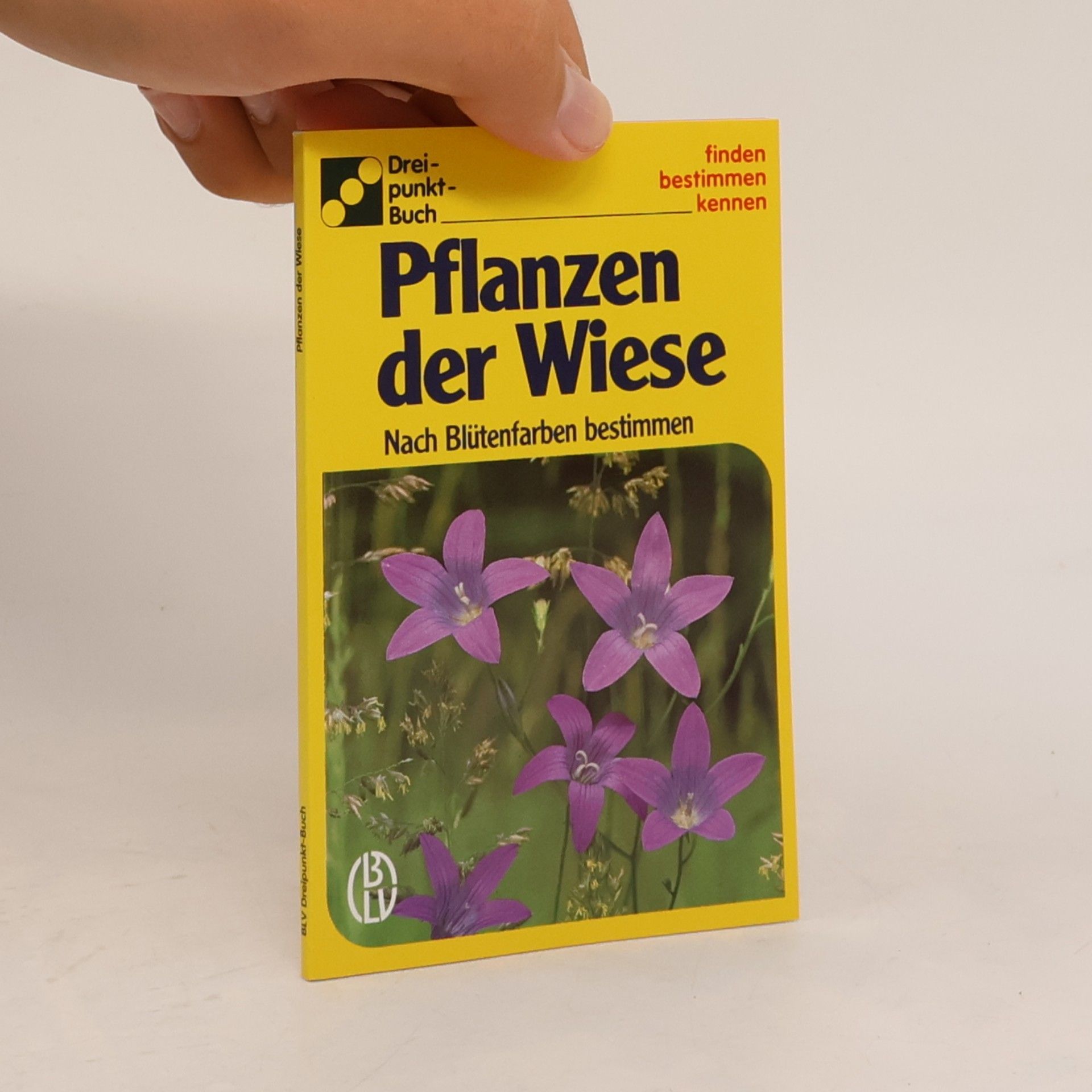Alfred Handel Pflanzen der Wiese