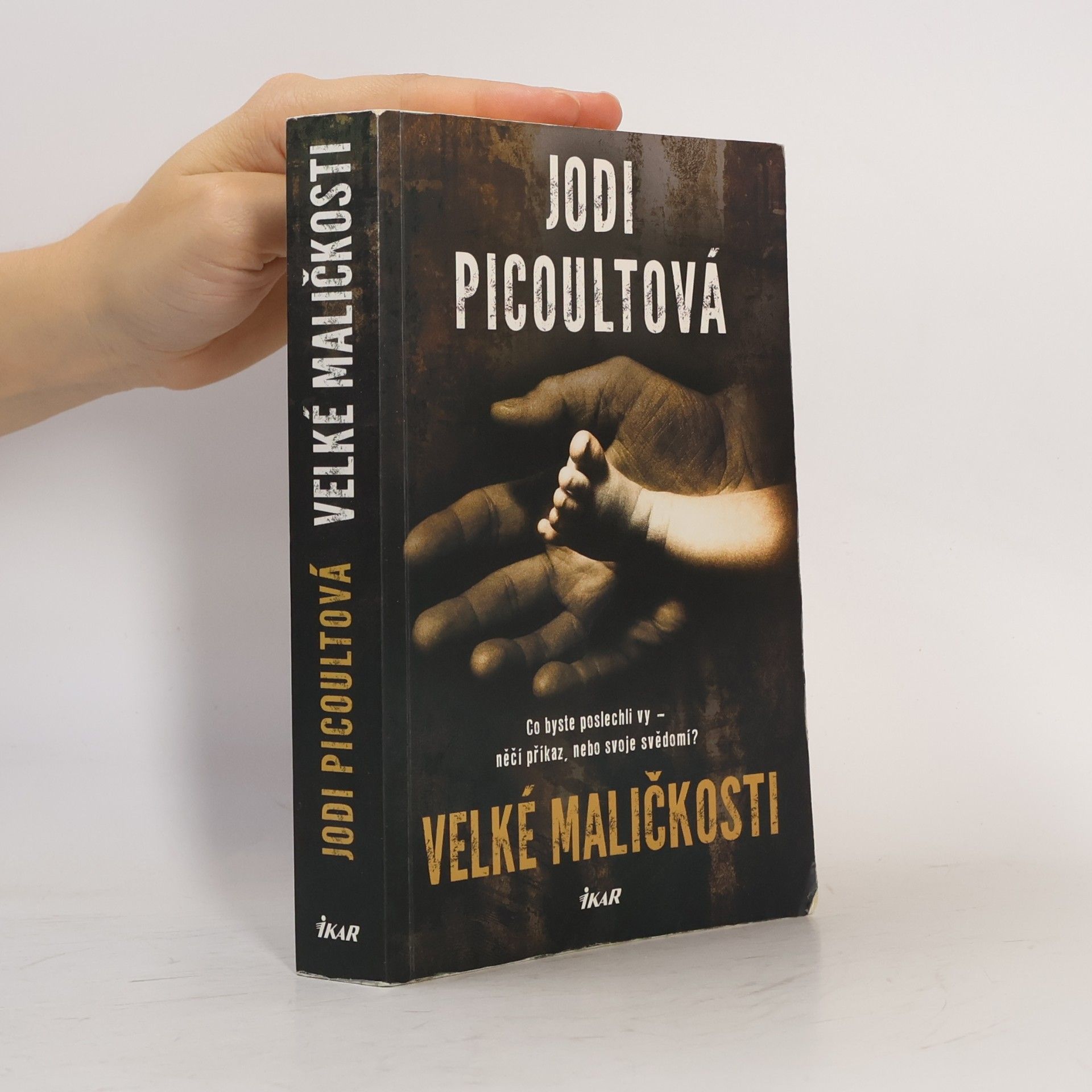 Jodi Picoult Velké maličkosti