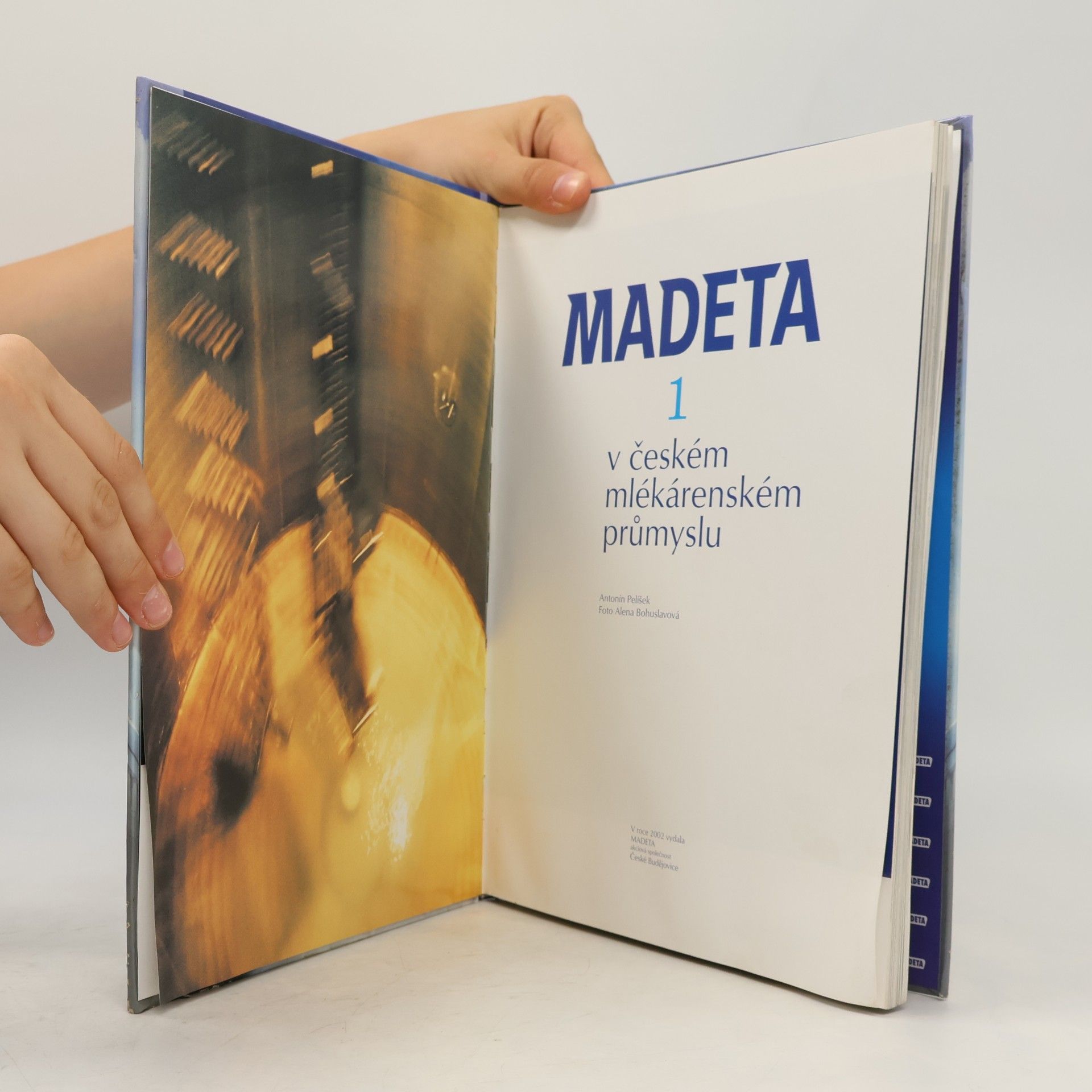 Antonín Pelíšek Madeta : 1 v českém mlékárenském průmyslu