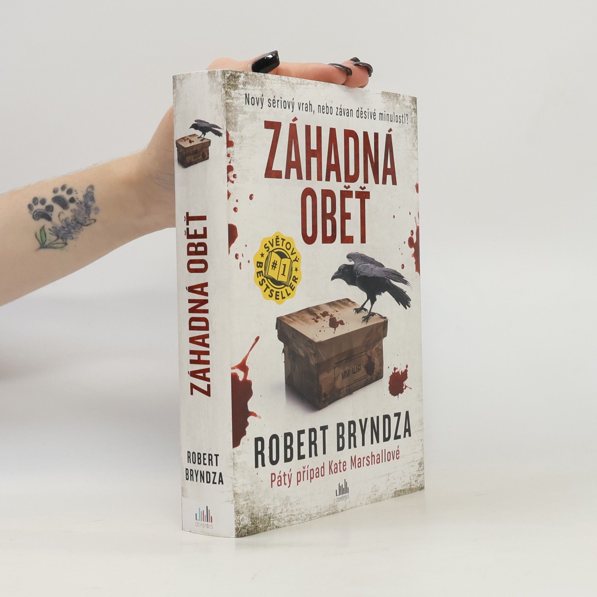 Robert Bryndza Záhadná oběť