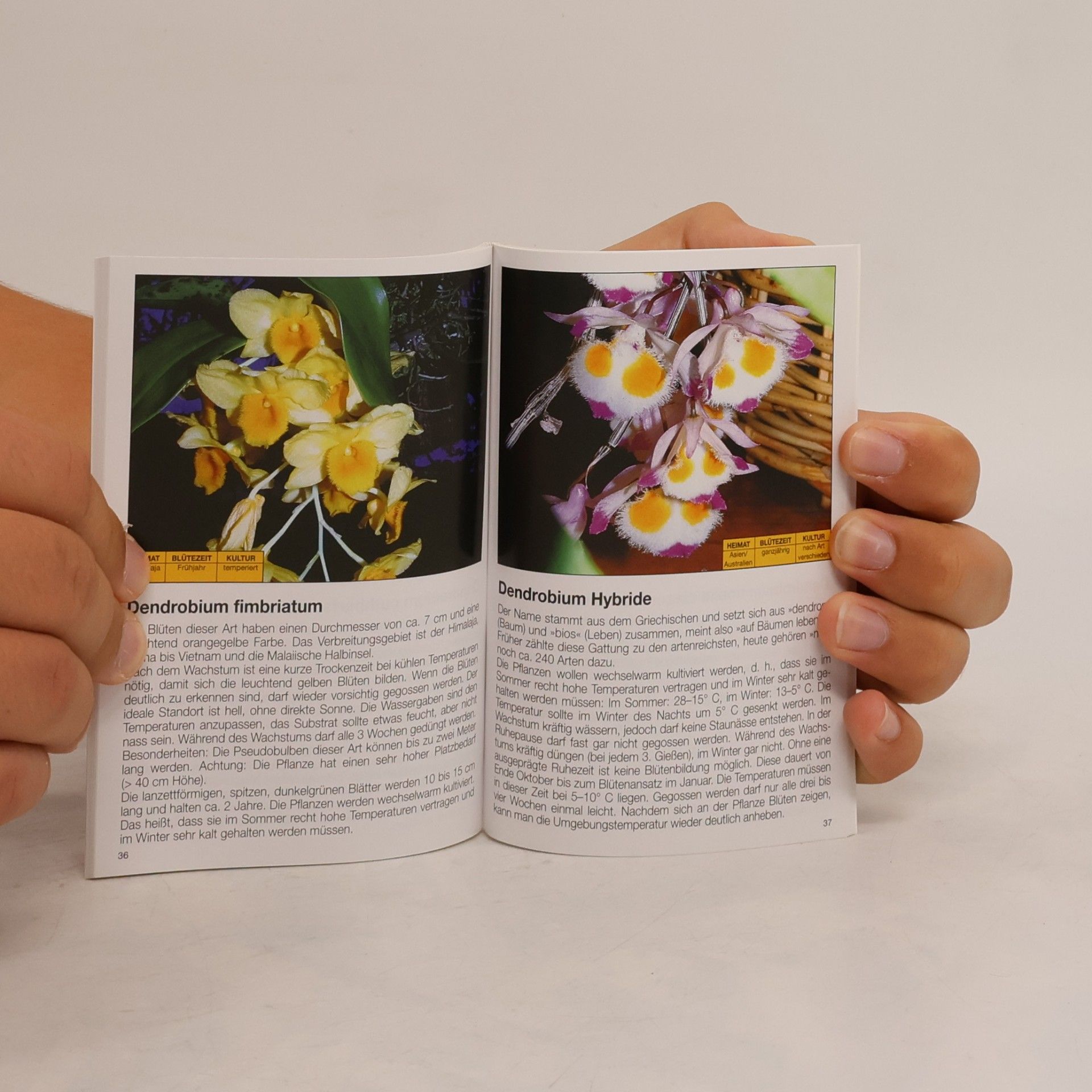 Autorenkollektiv Mehr Freude mit Orchideen