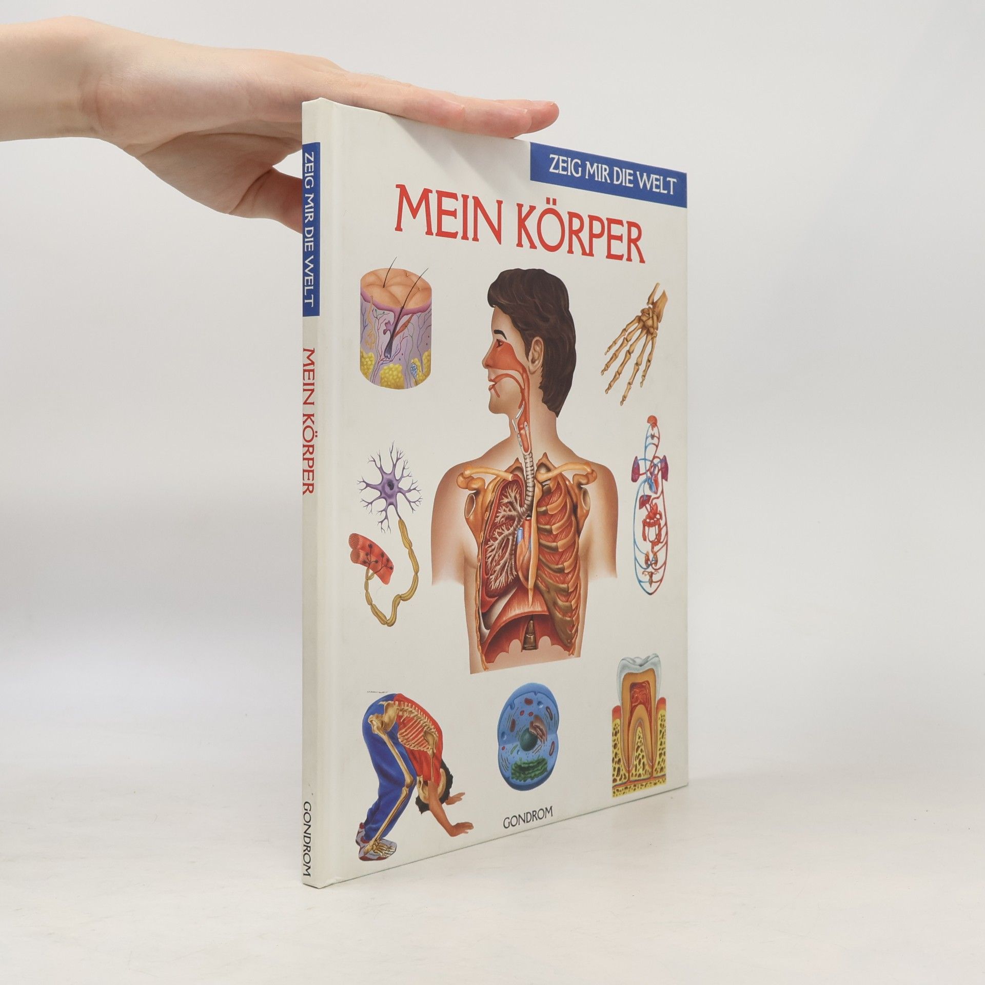 Andreas Piel Mein Körper