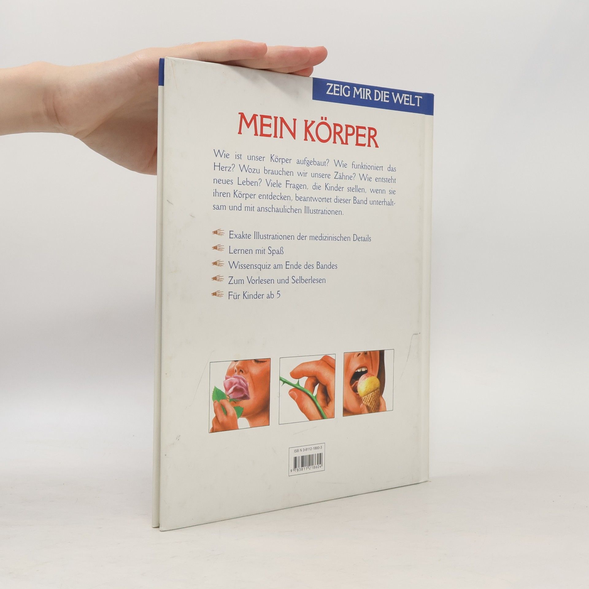Andreas Piel Mein Körper