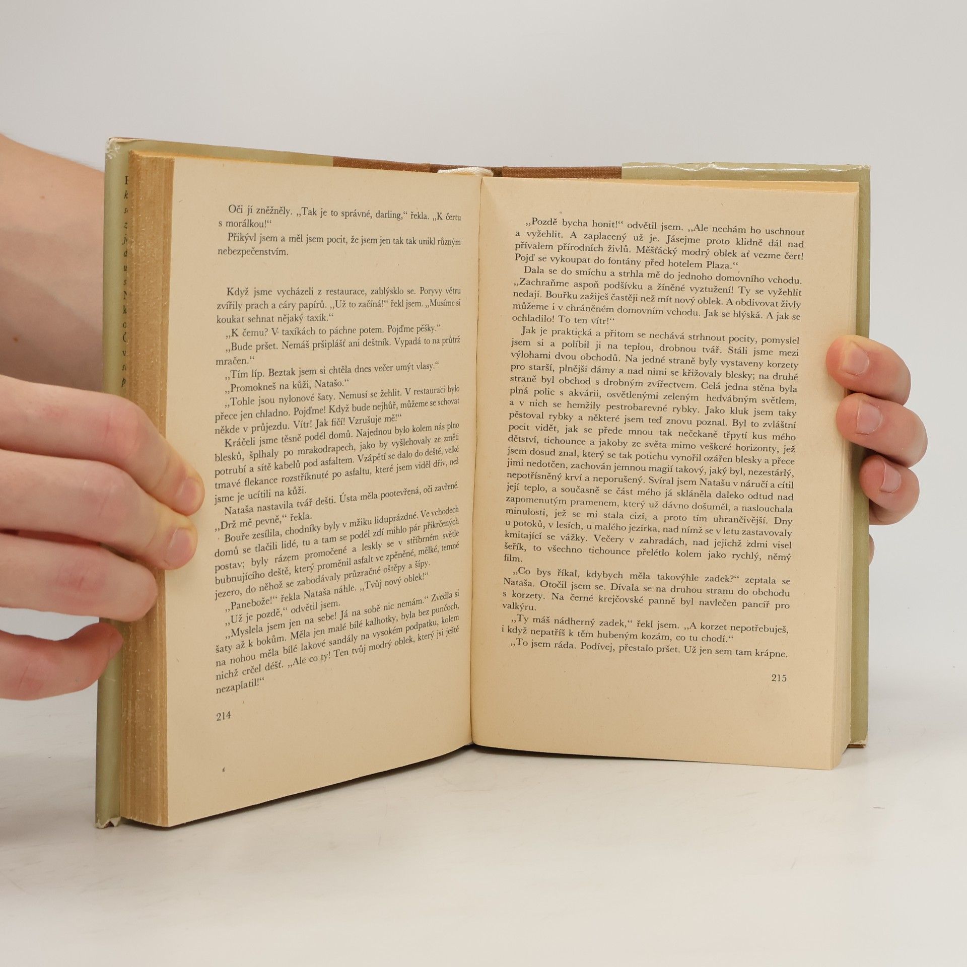 Erich Maria Remarque Stíny v ráji