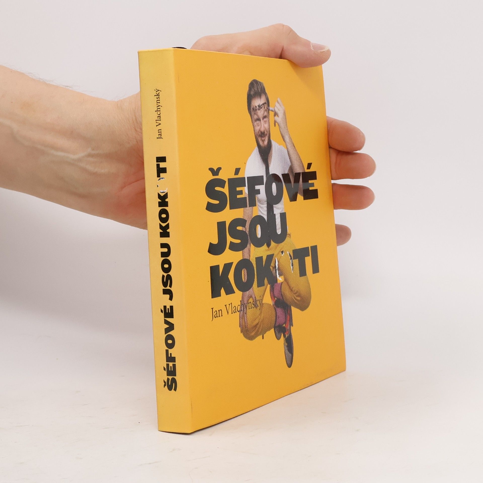 Jan Vlachynský Šéfové jsou kokoti