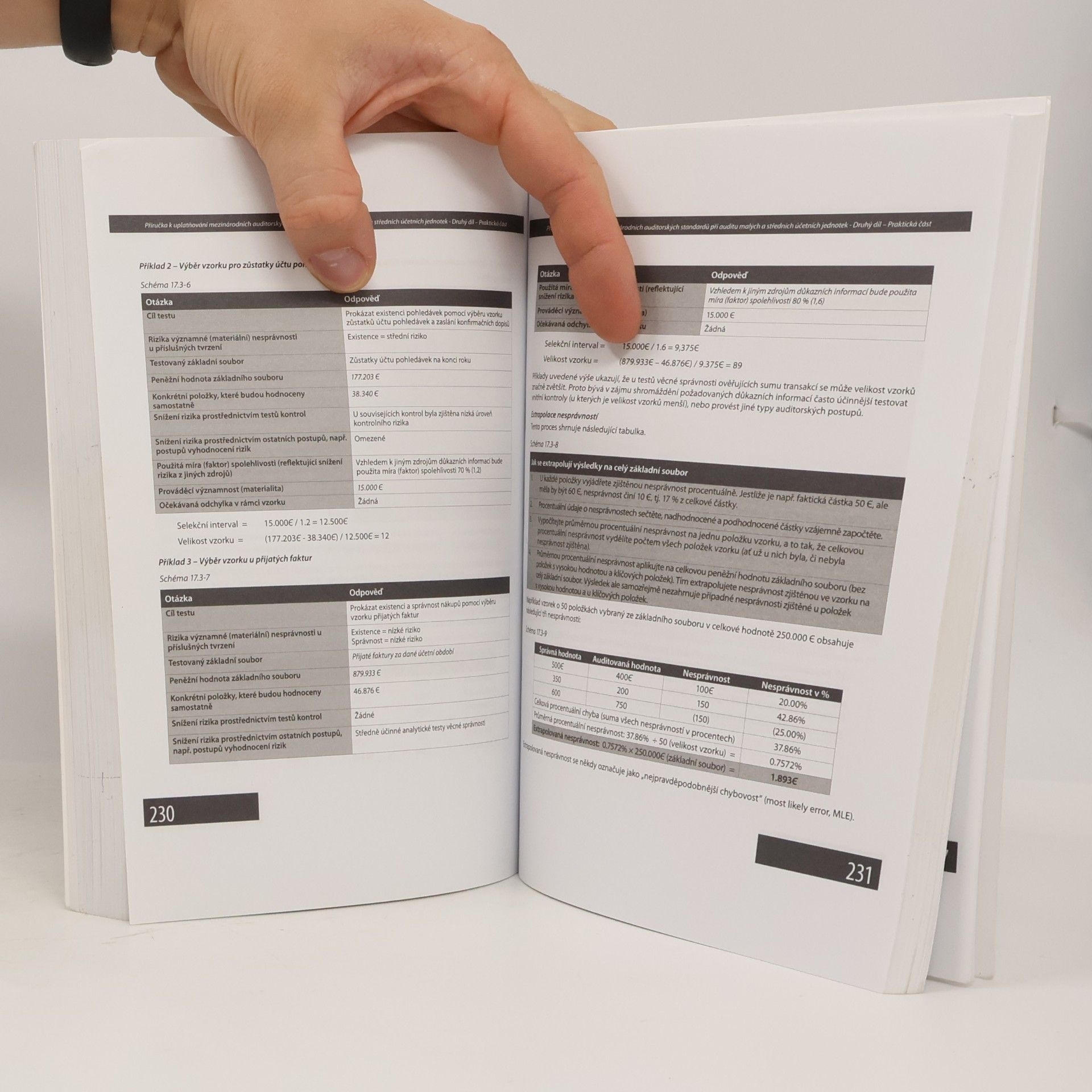 Kolektiv autorů Příručka k uplatňování mezinárodních auditorských standardů 2.